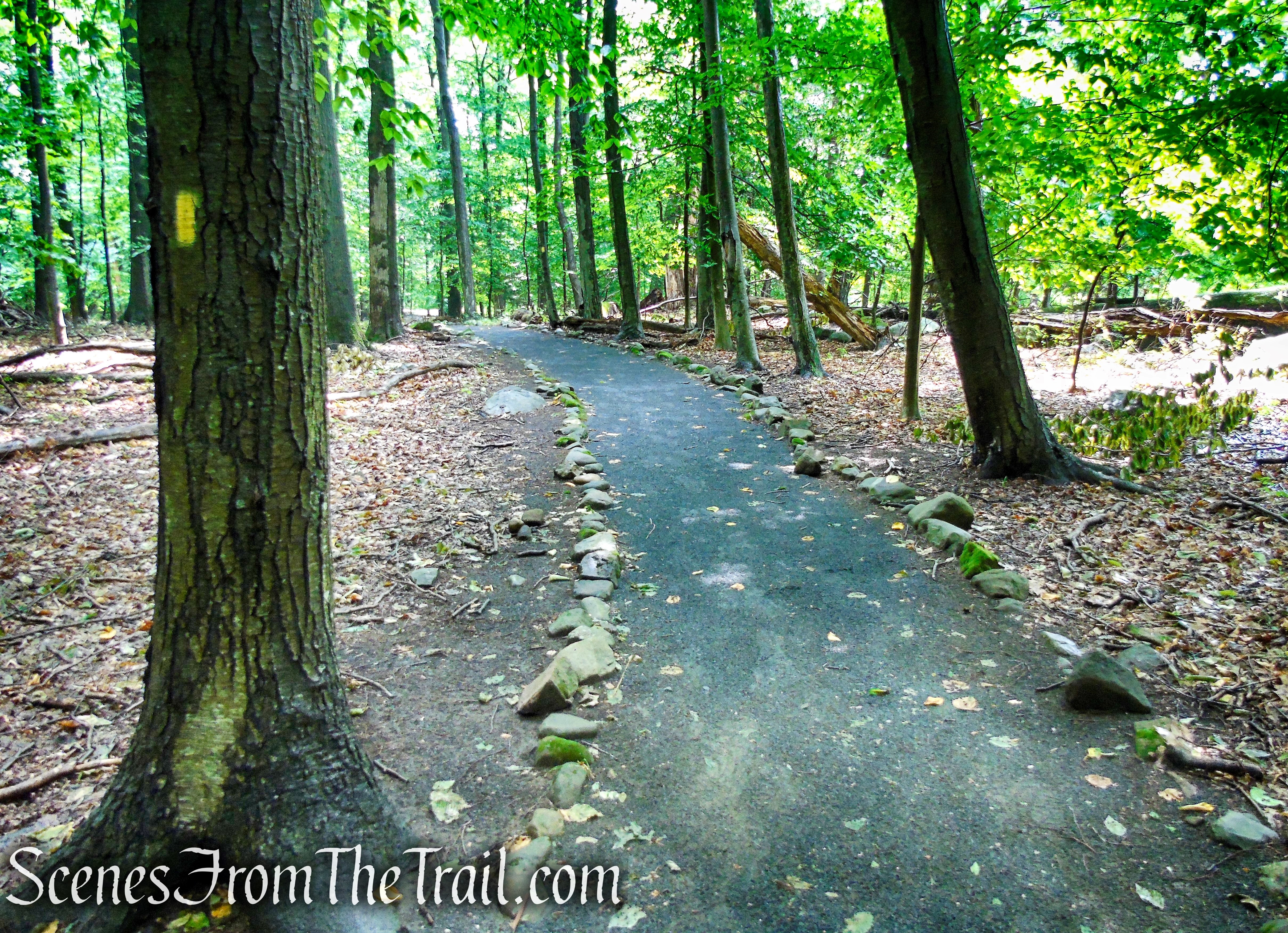 Fitness Trail - Kennedy Dells County Park