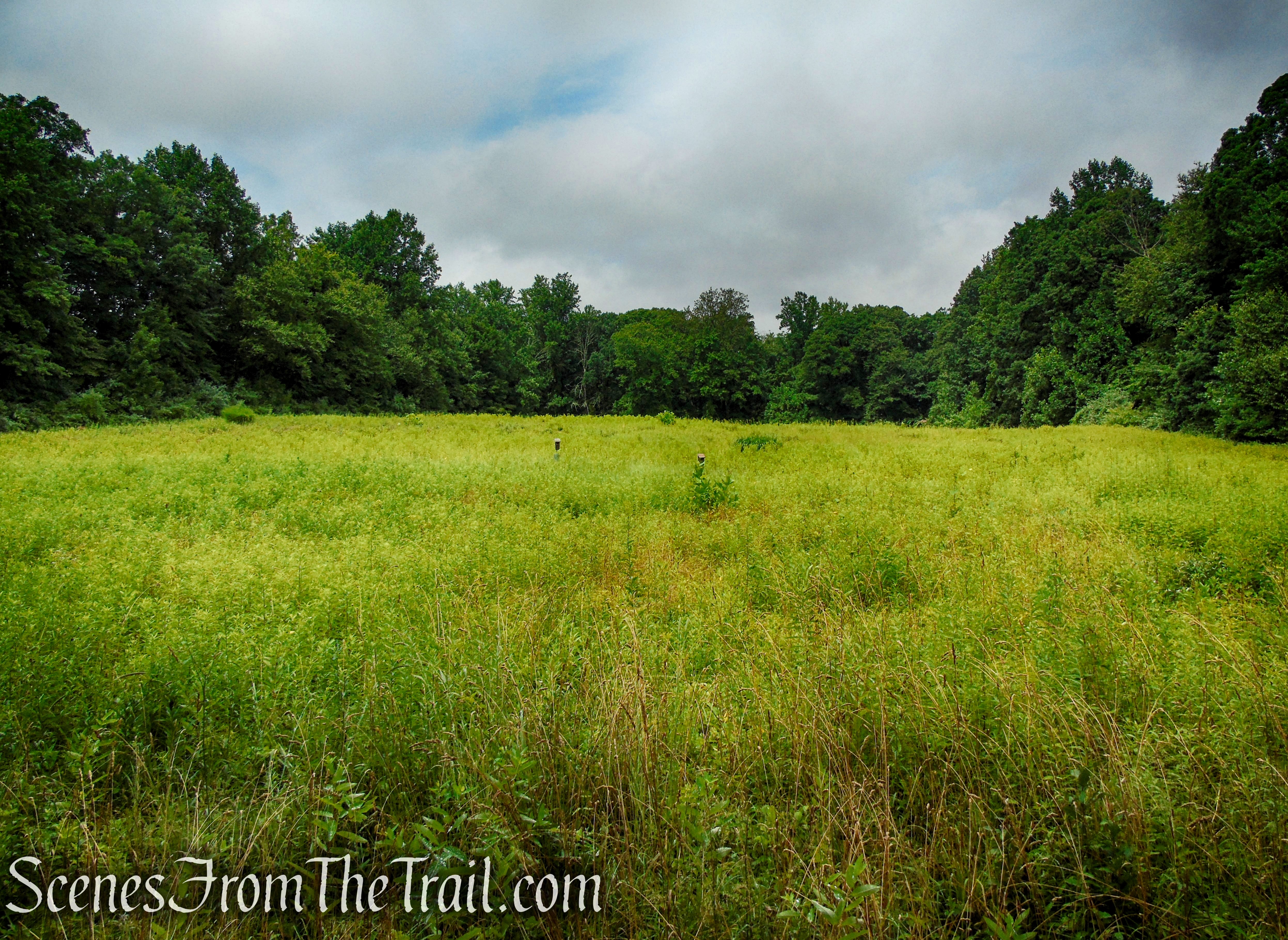 Fitness Trail - Kennedy Dells County Park