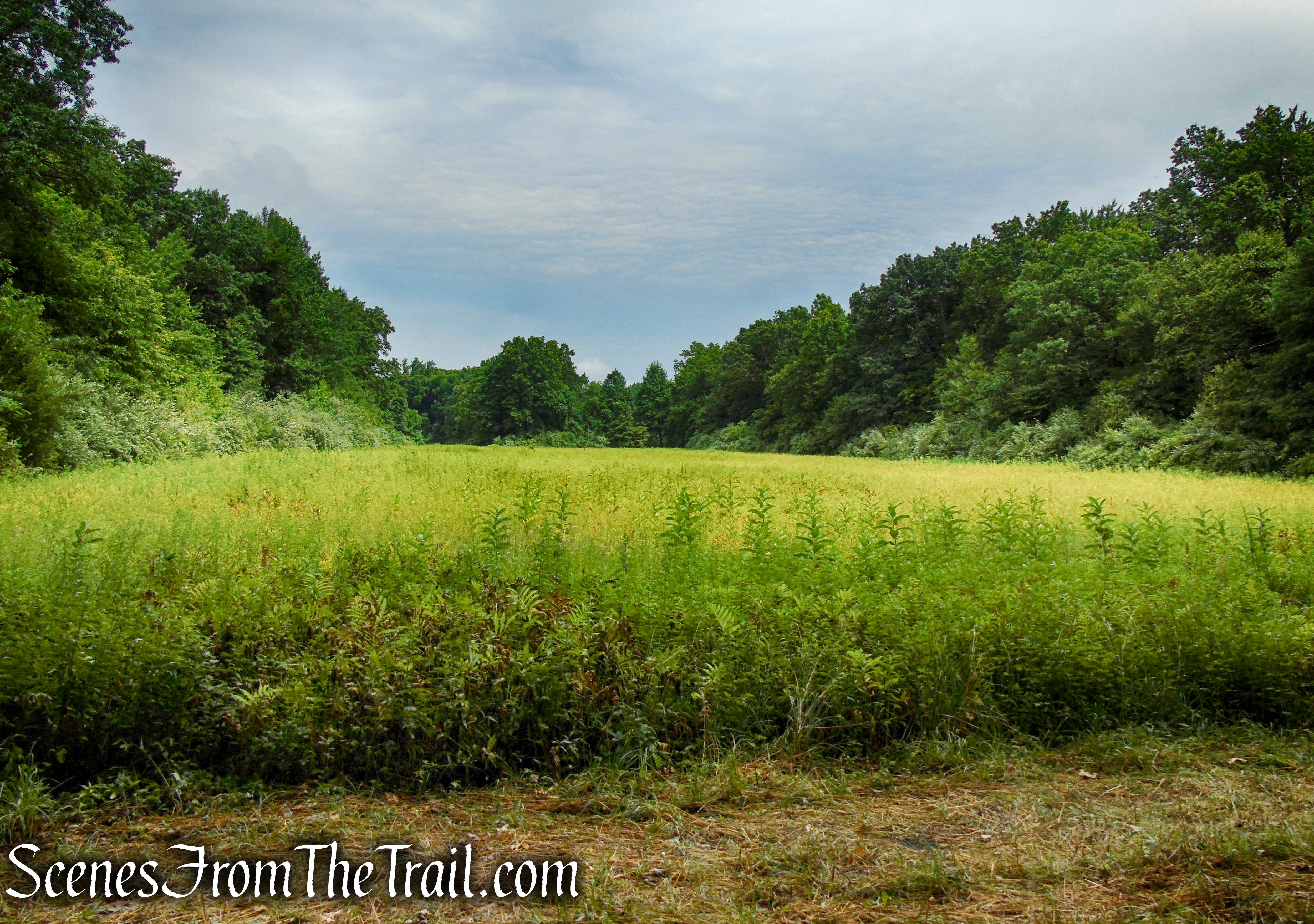 Fitness Trail - Kennedy Dells County Park