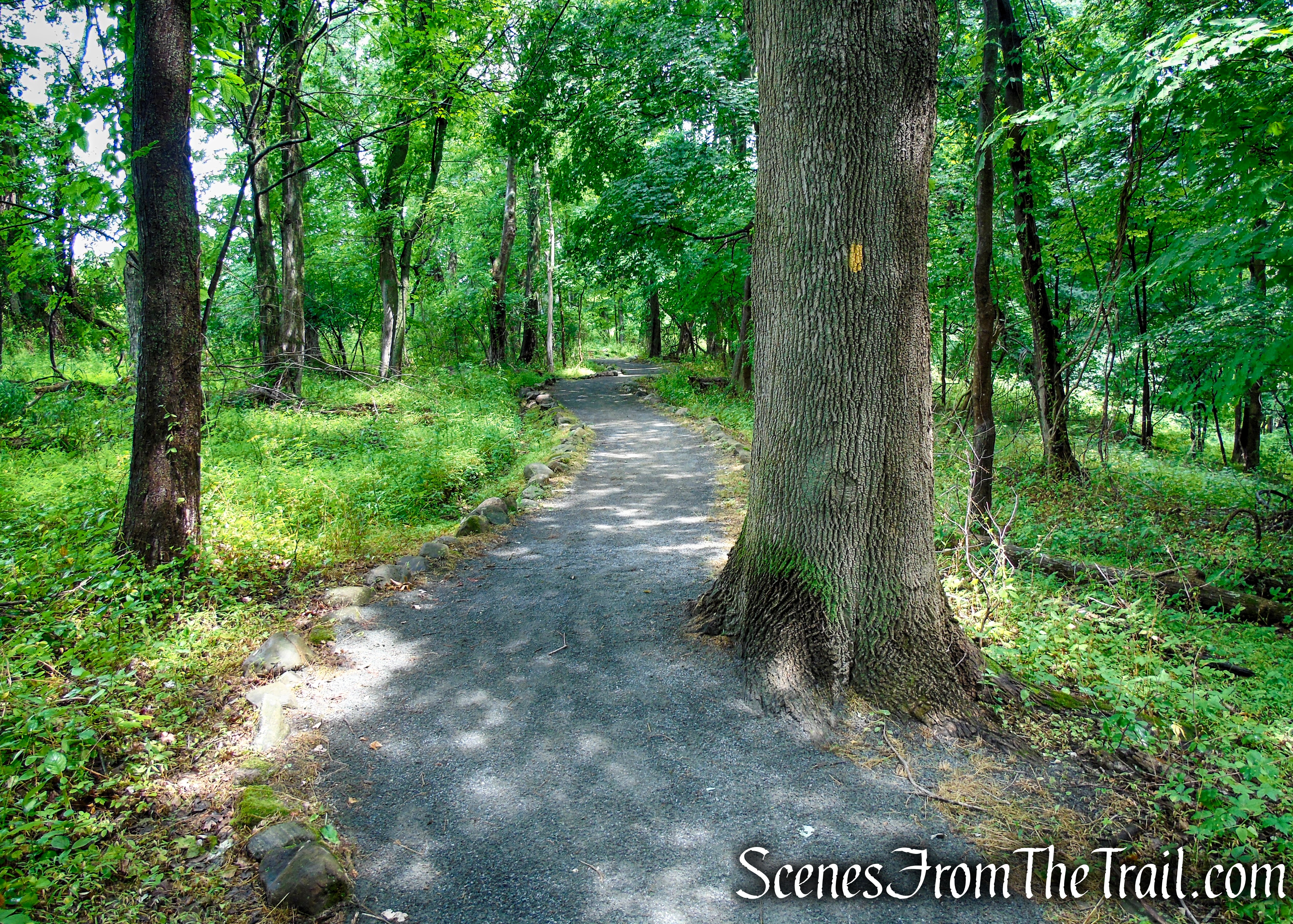 Fitness Trail - Kennedy Dells County Park