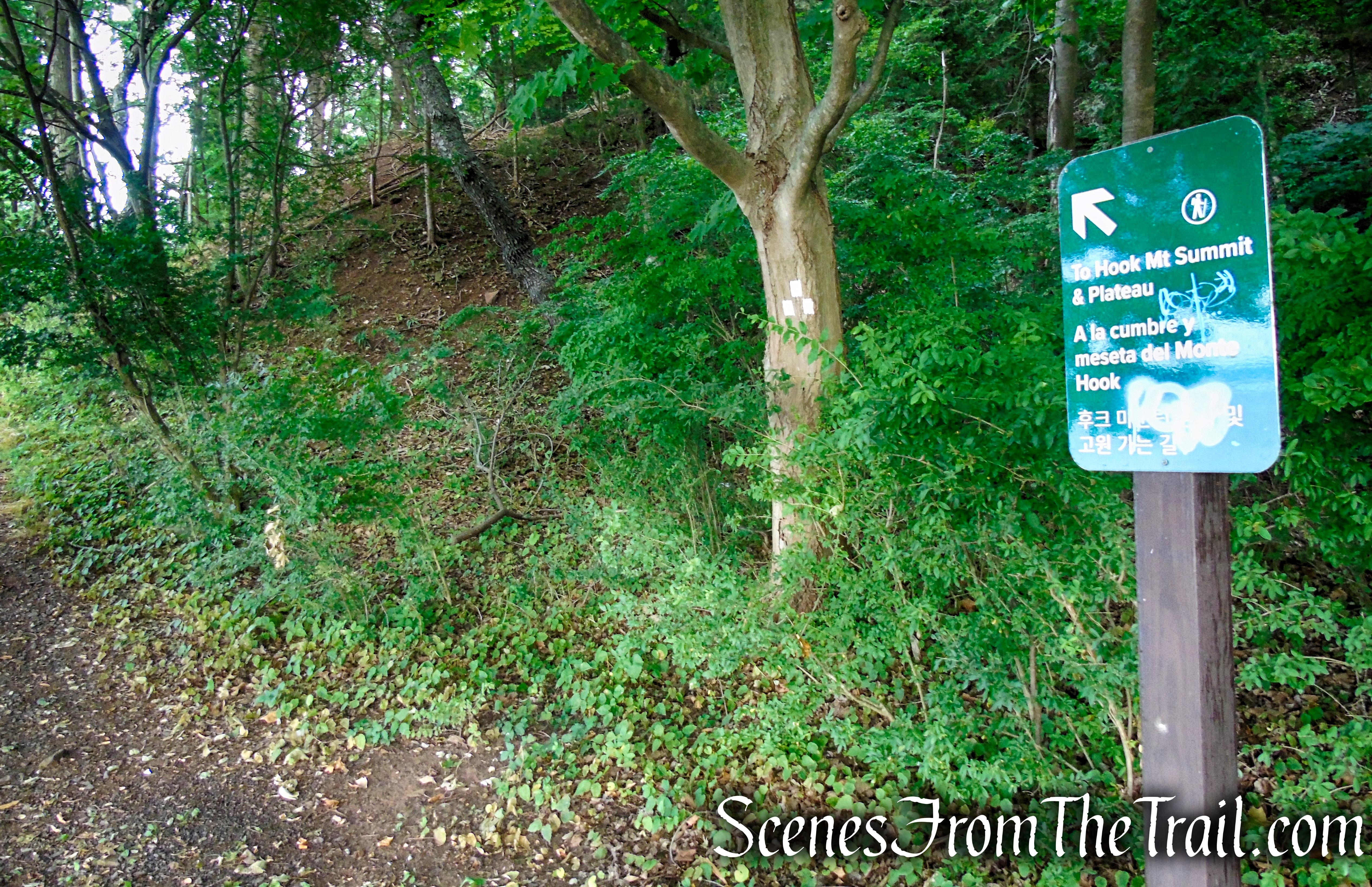 Upper Nyack Trail - Nyack Beach State Park