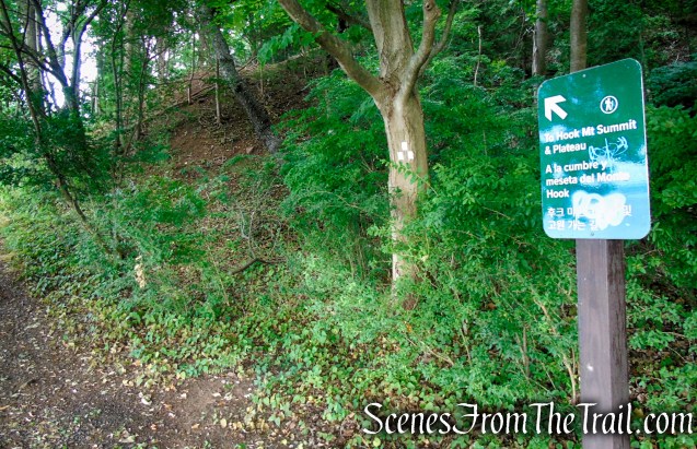 Upper Nyack Trail - Nyack Beach State Park