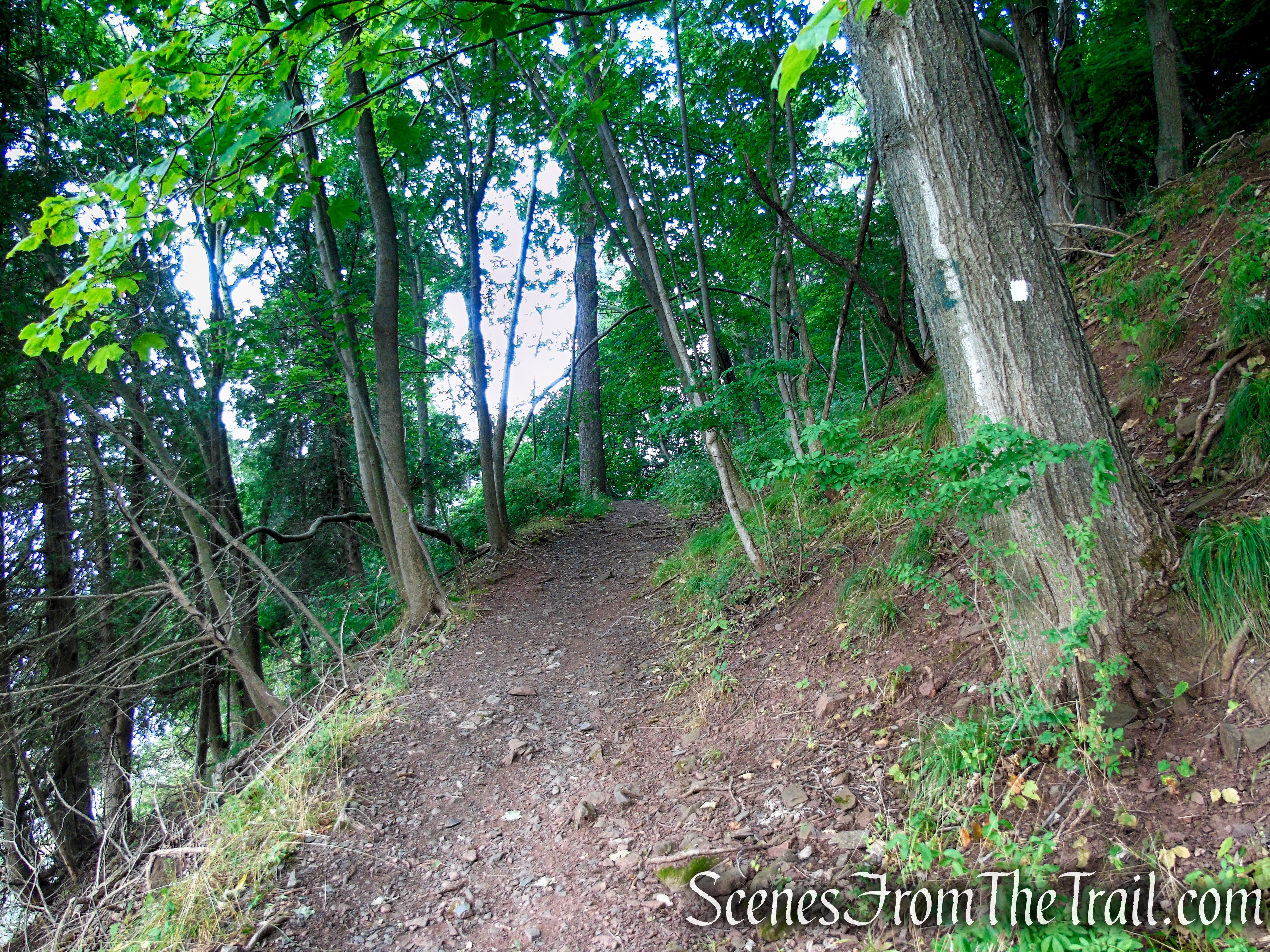Upper Nyack Trail - Nyack Beach State Park