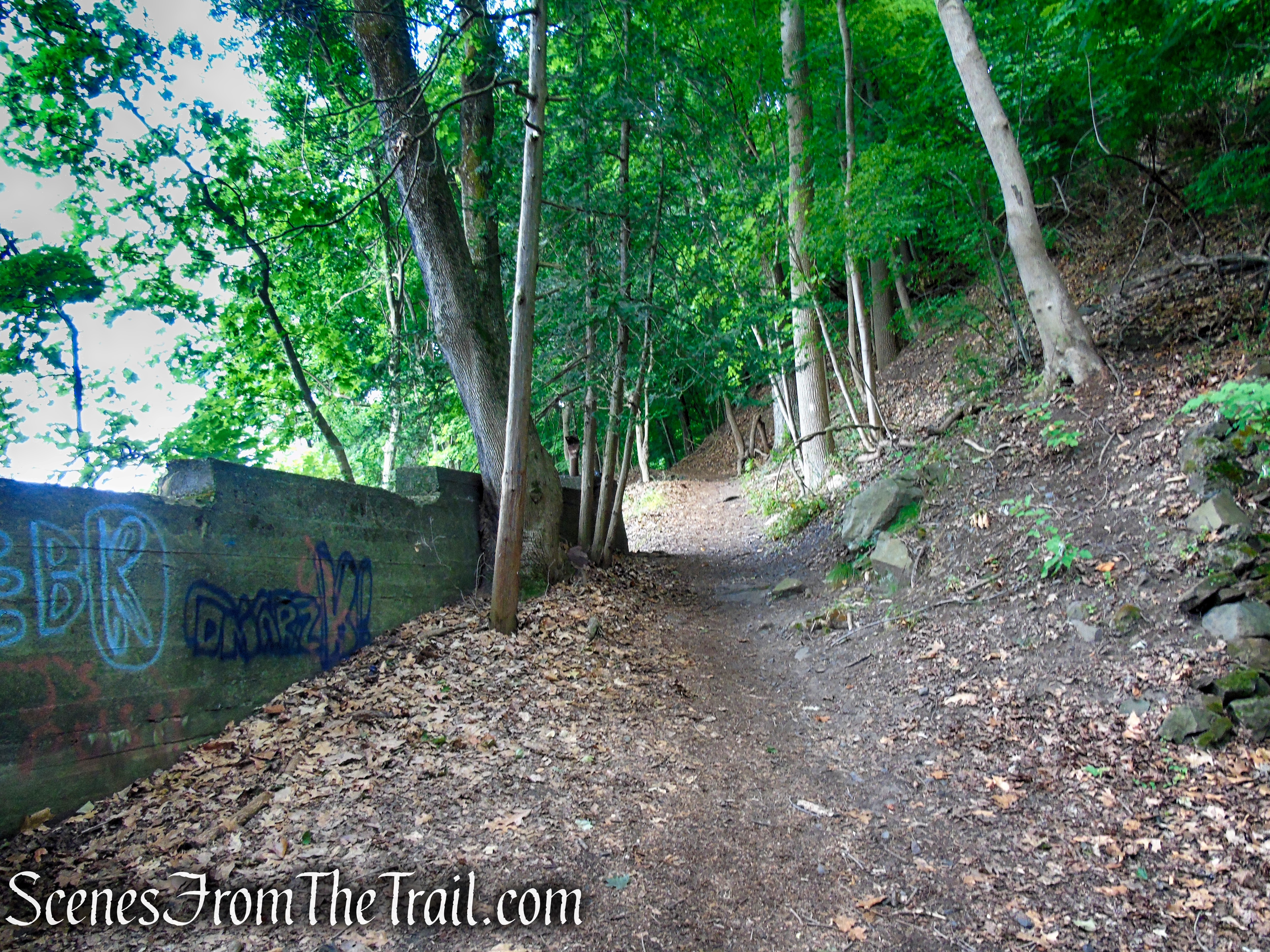 Upper Nyack Trail - Nyack Beach State Park
