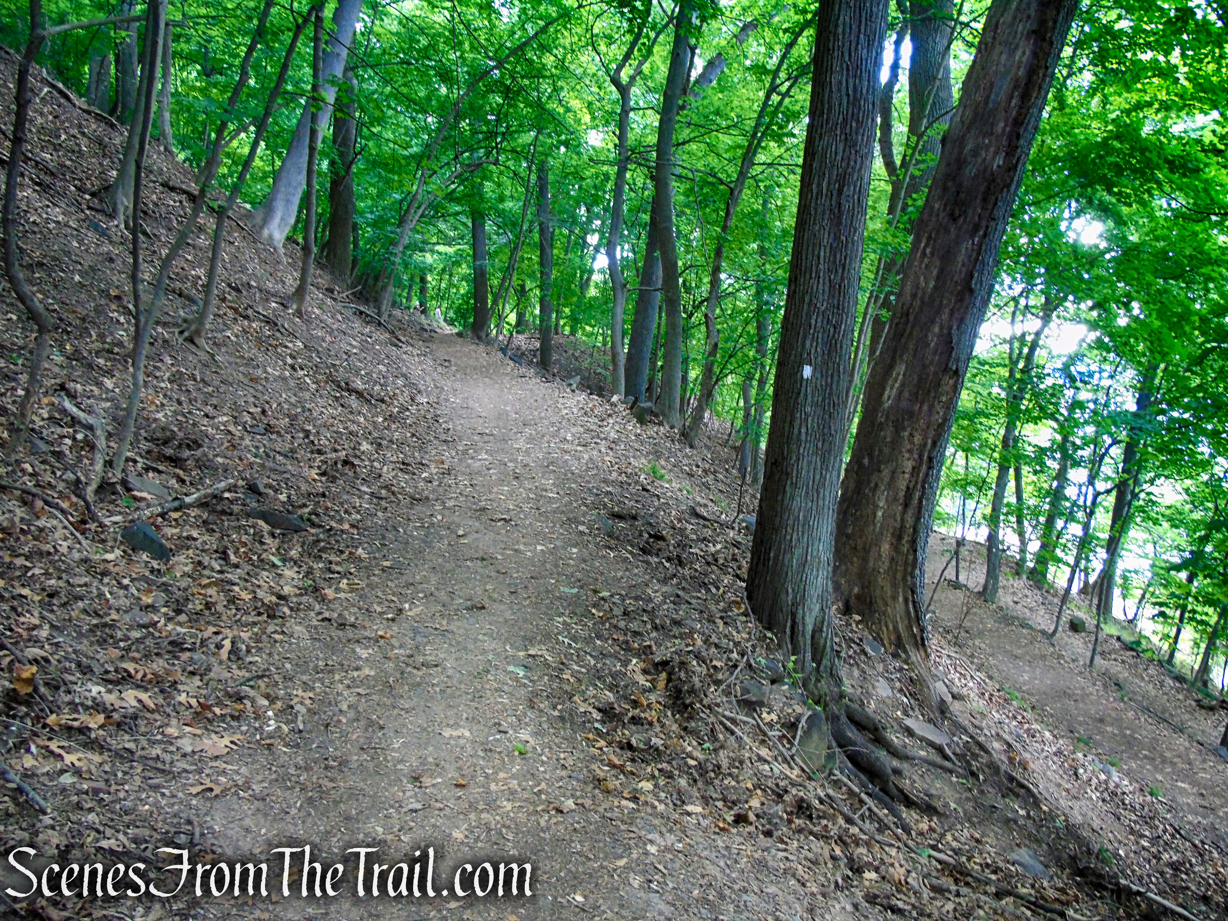 Upper Nyack Trail - Nyack Beach State Park