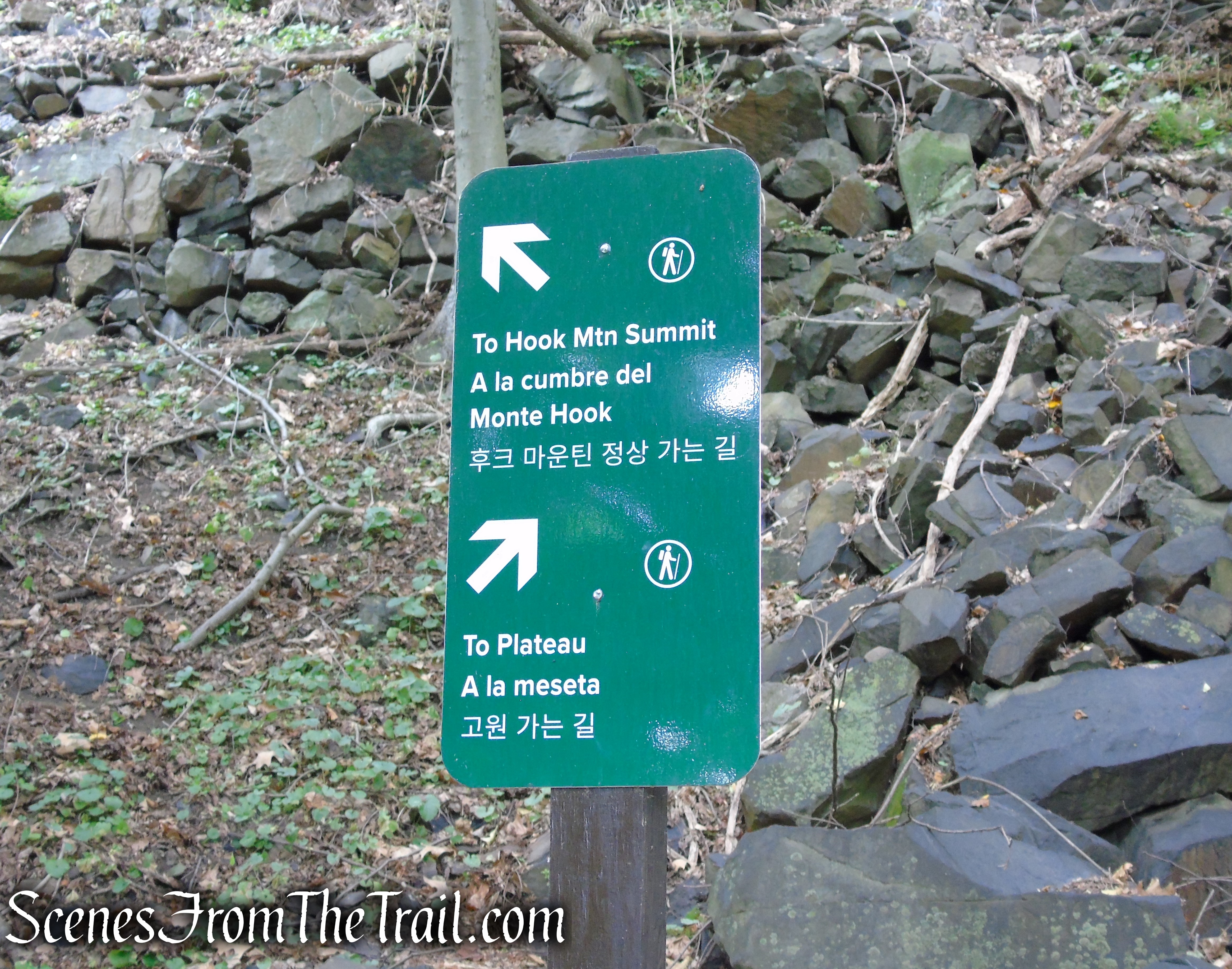 Upper Nyack Trail - Nyack Beach State Park