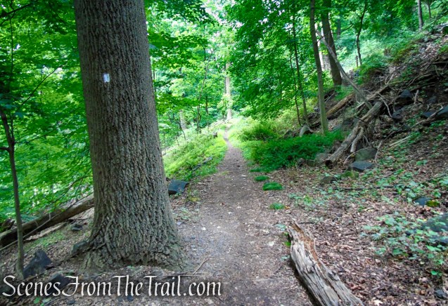 Upper Nyack Trail - Nyack Beach State Park