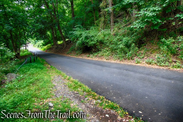 Upper Nyack Trail - Nyack Beach State Park