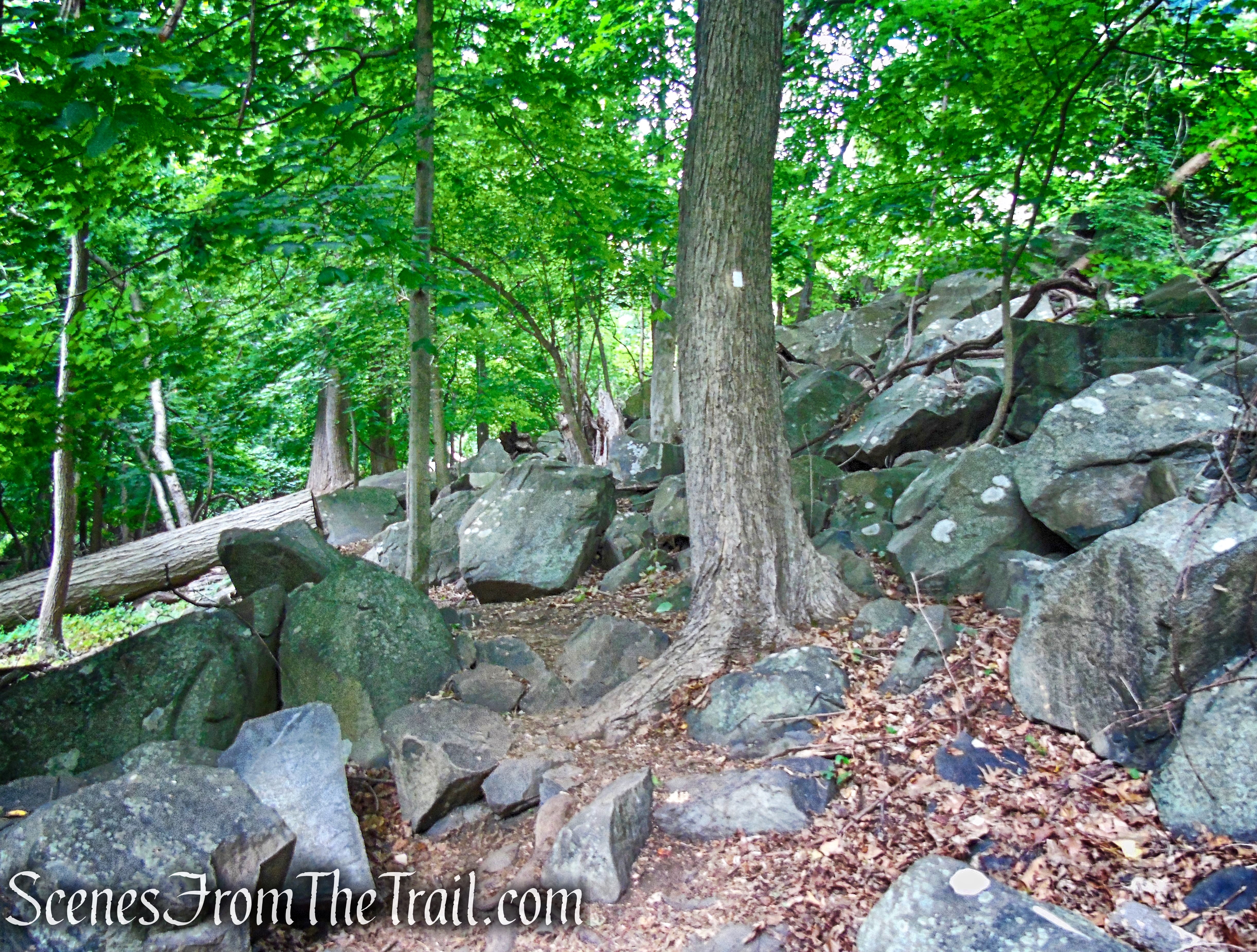 Upper Nyack Trail - Nyack Beach State Park