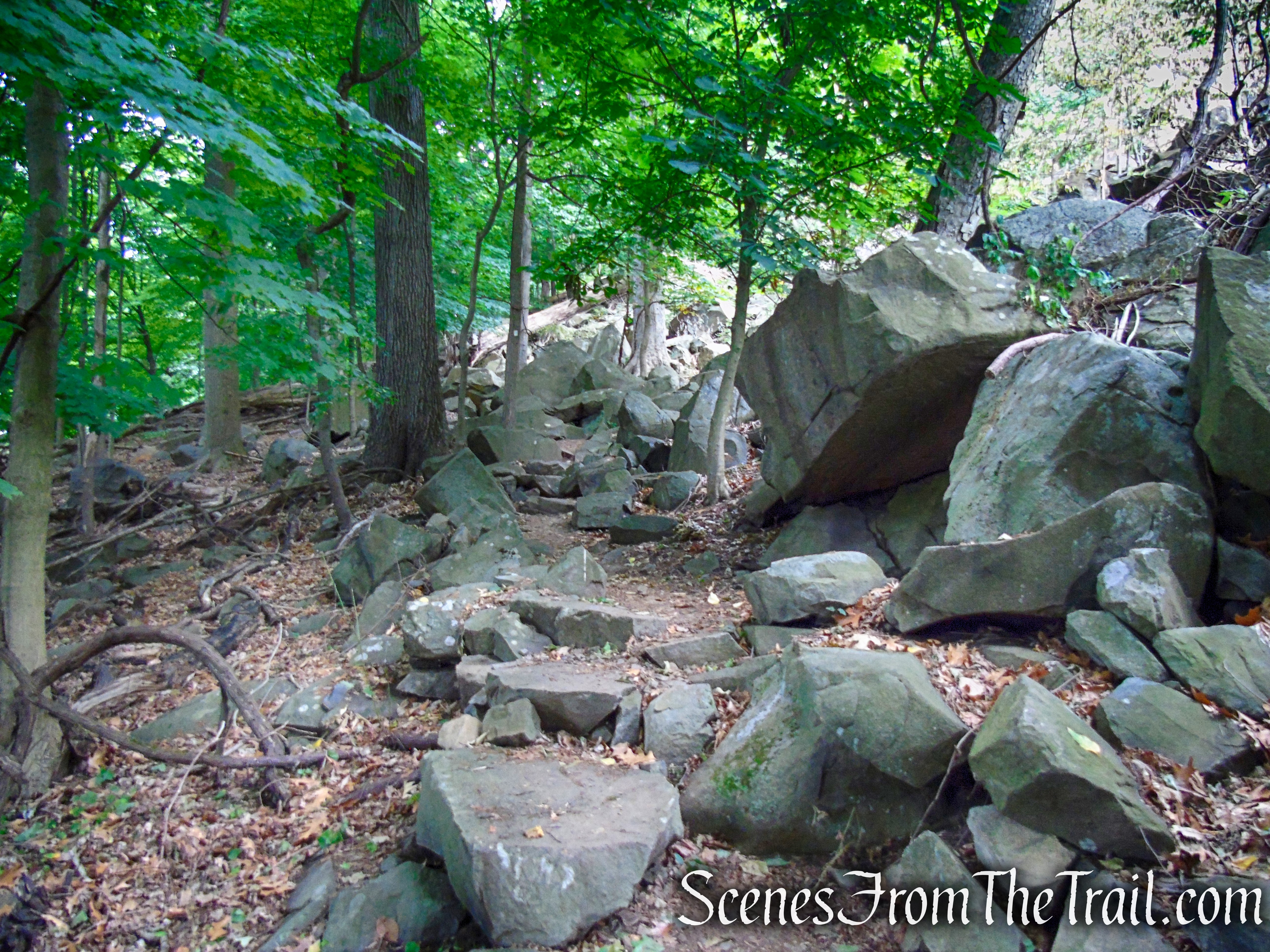 Upper Nyack Trail - Nyack Beach State Park