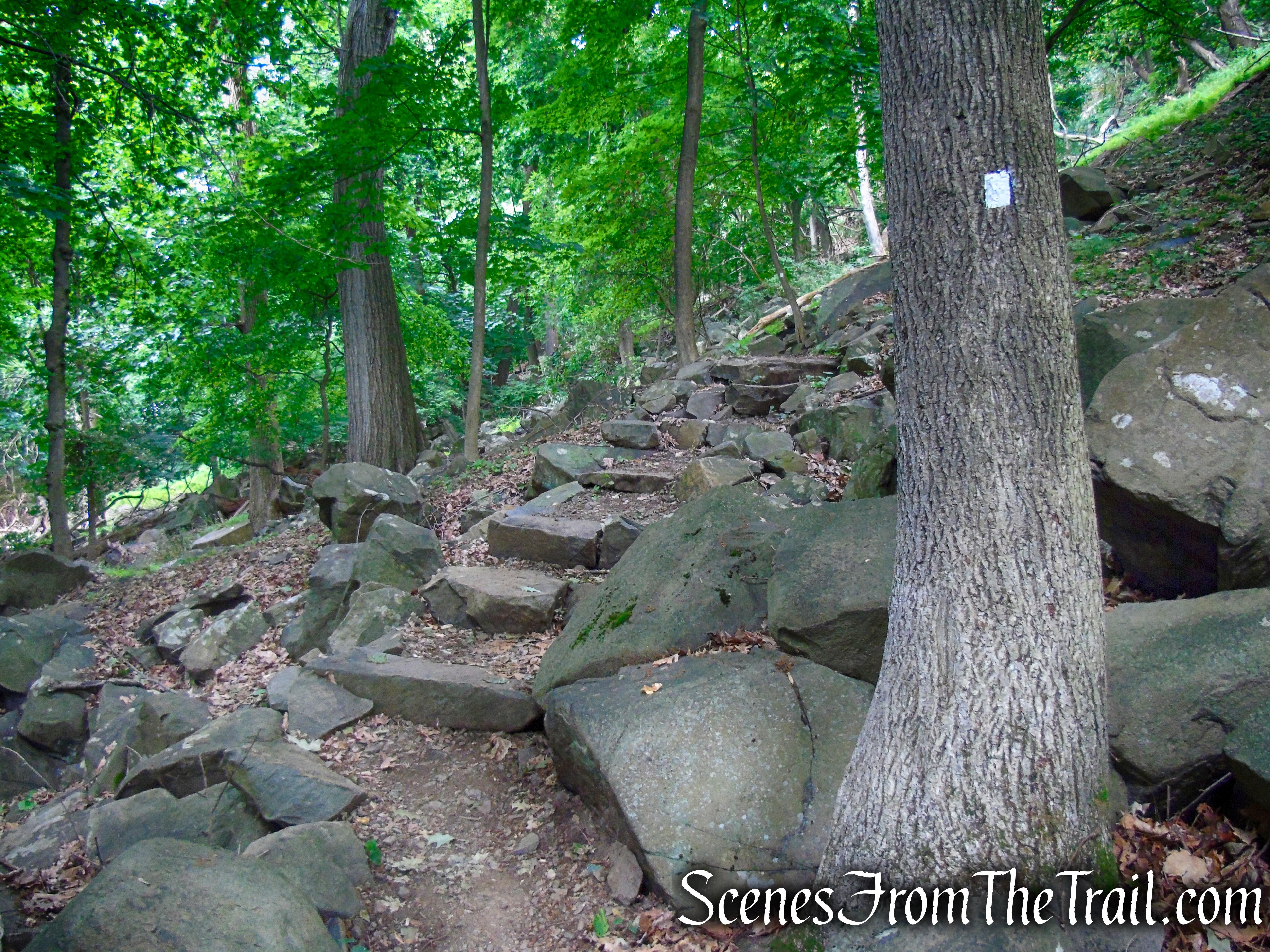 Upper Nyack Trail - Nyack Beach State Park