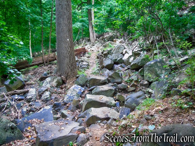 Upper Nyack Trail - Nyack Beach State Park