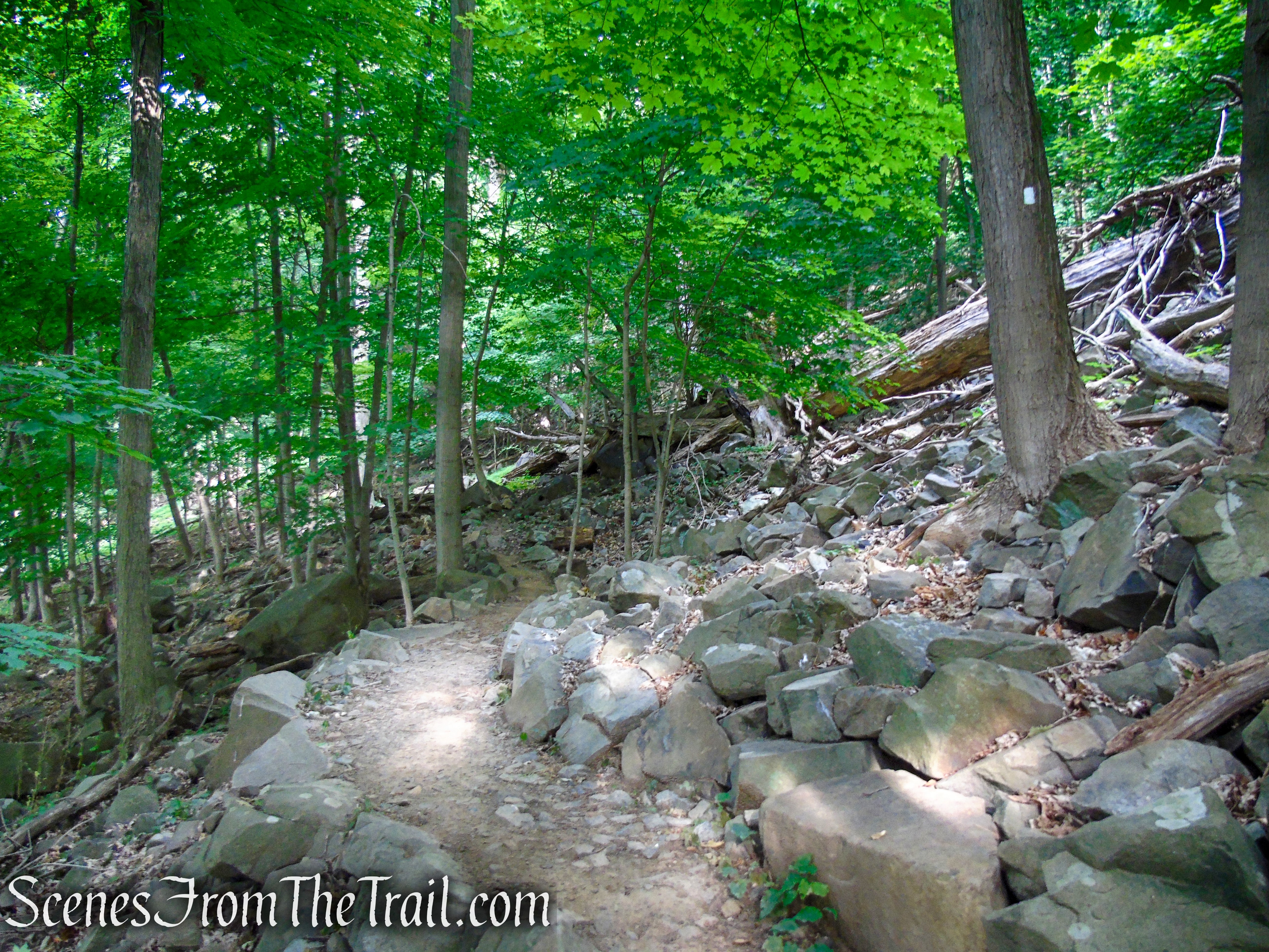Upper Nyack Trail - Nyack Beach State Park