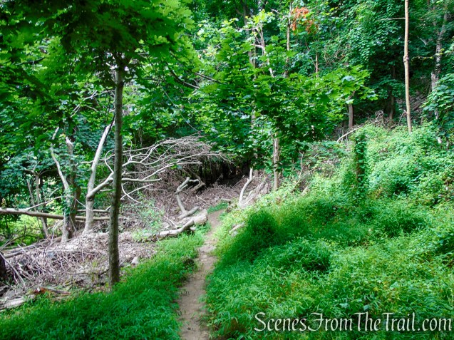 Upper Nyack Trail - Nyack Beach State Park