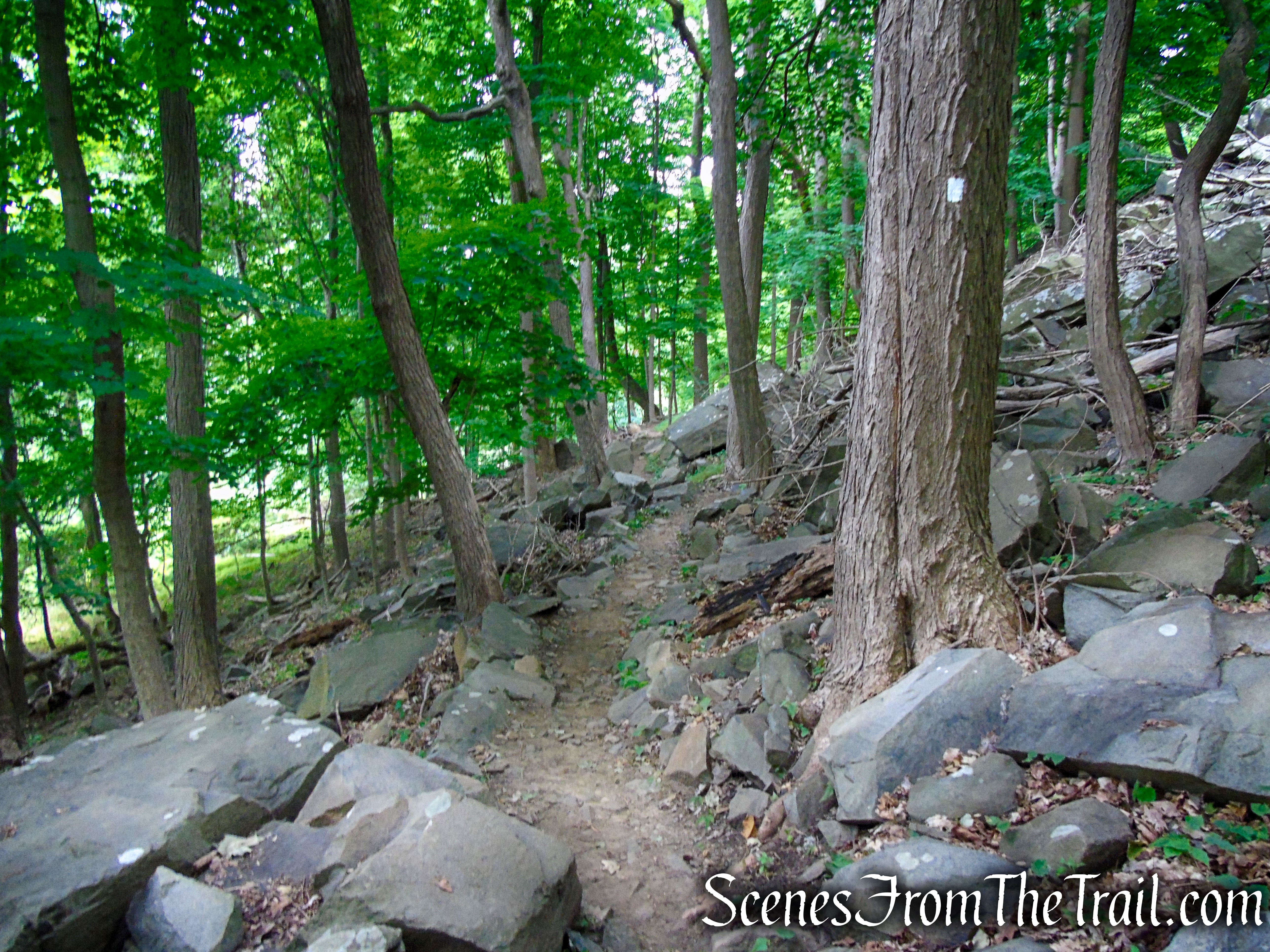 Upper Nyack Trail - Nyack Beach State Park