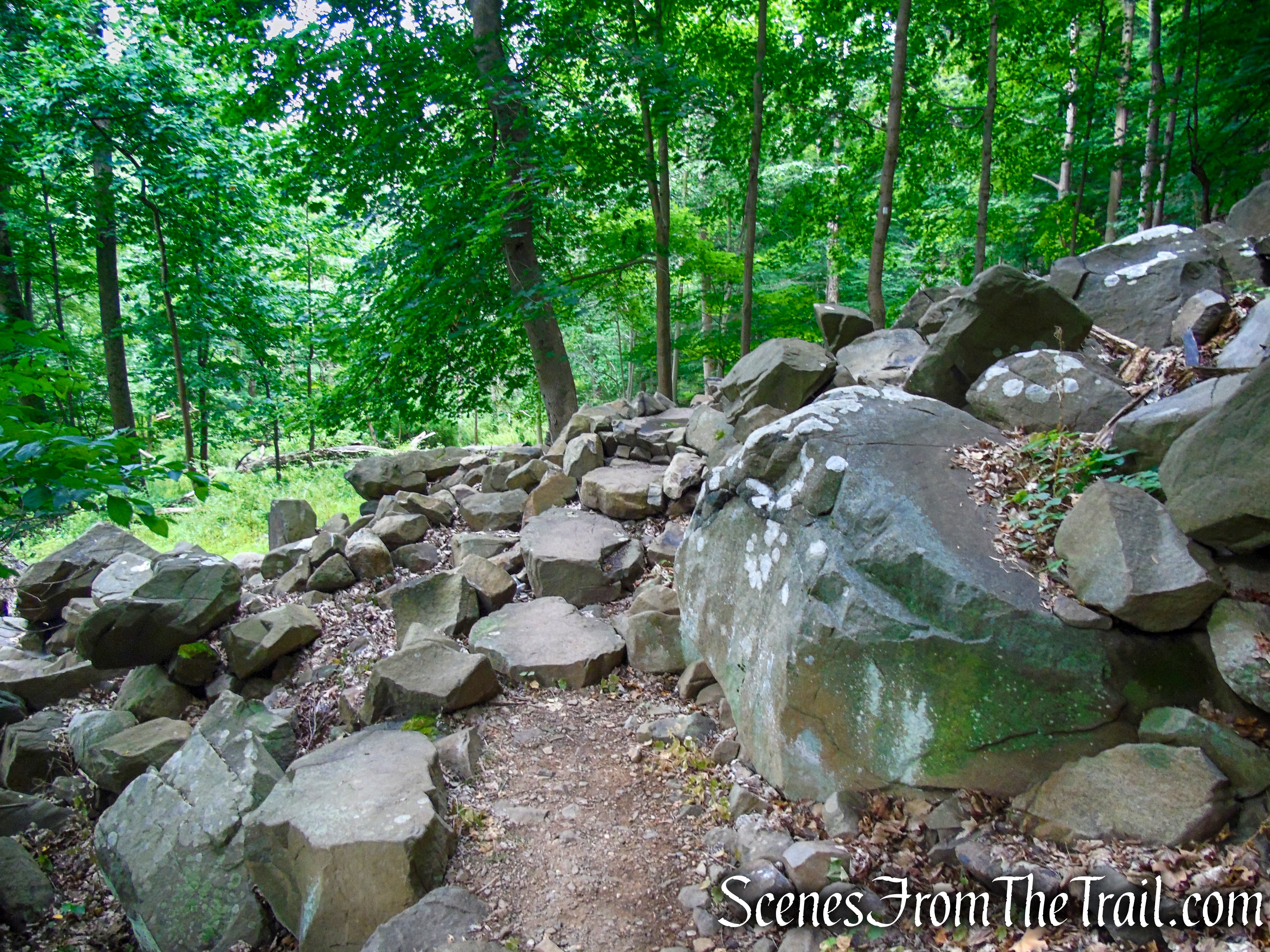 Upper Nyack Trail - Nyack Beach State Park