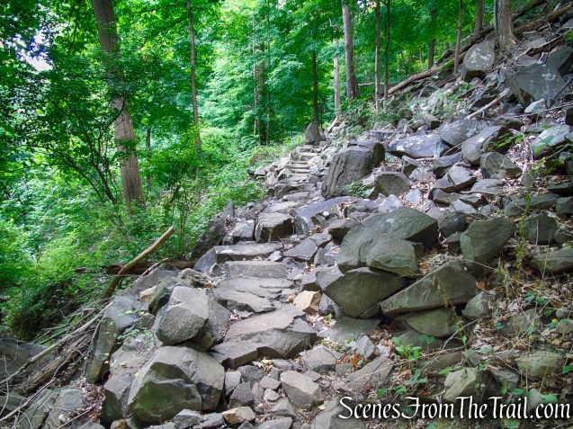 Upper Nyack Trail - Nyack Beach State Park