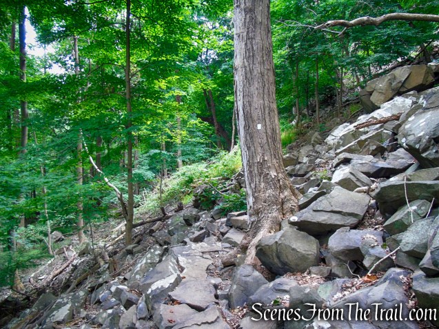 Upper Nyack Trail - Nyack Beach State Park