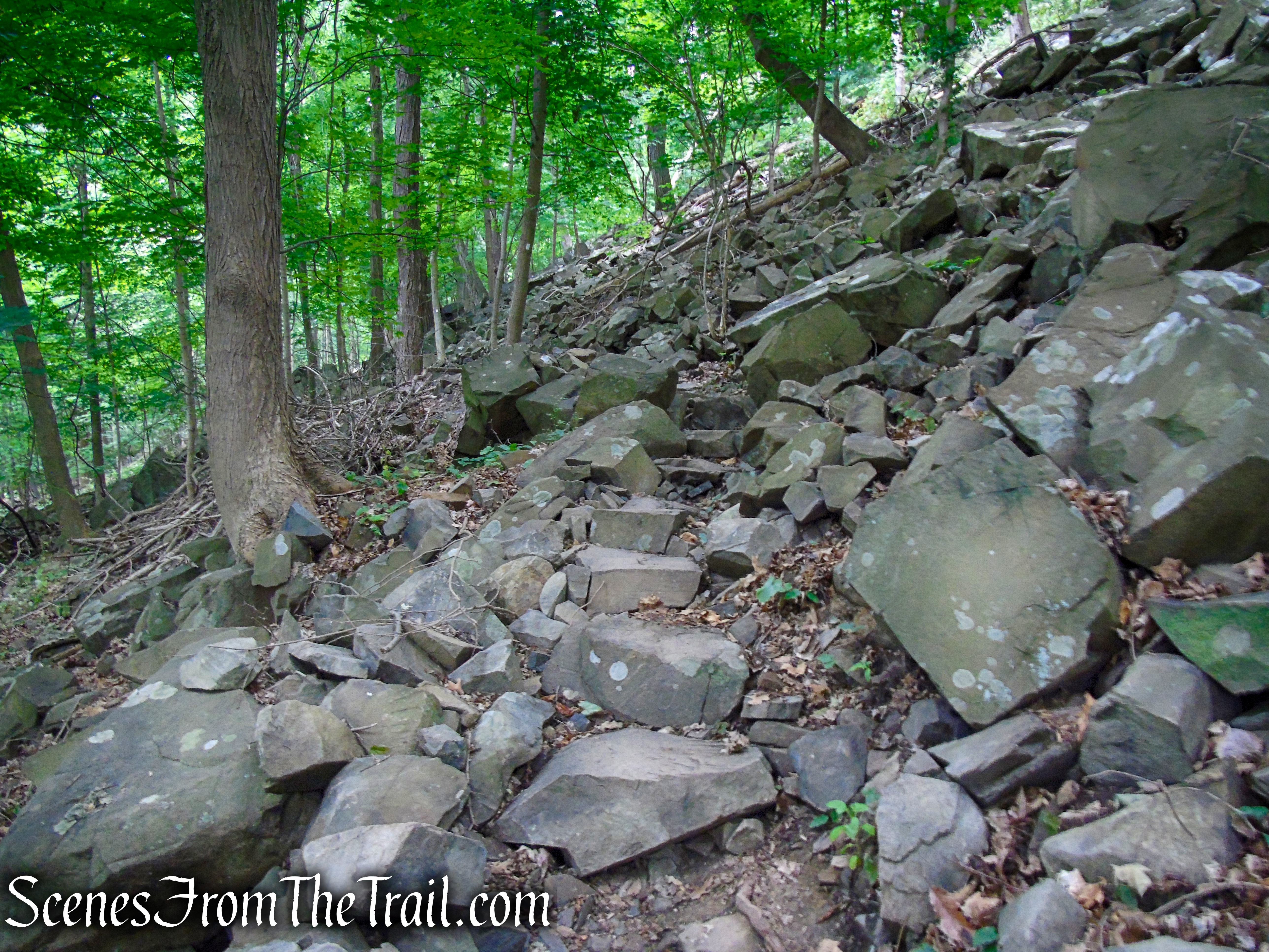 Upper Nyack Trail - Nyack Beach State Park