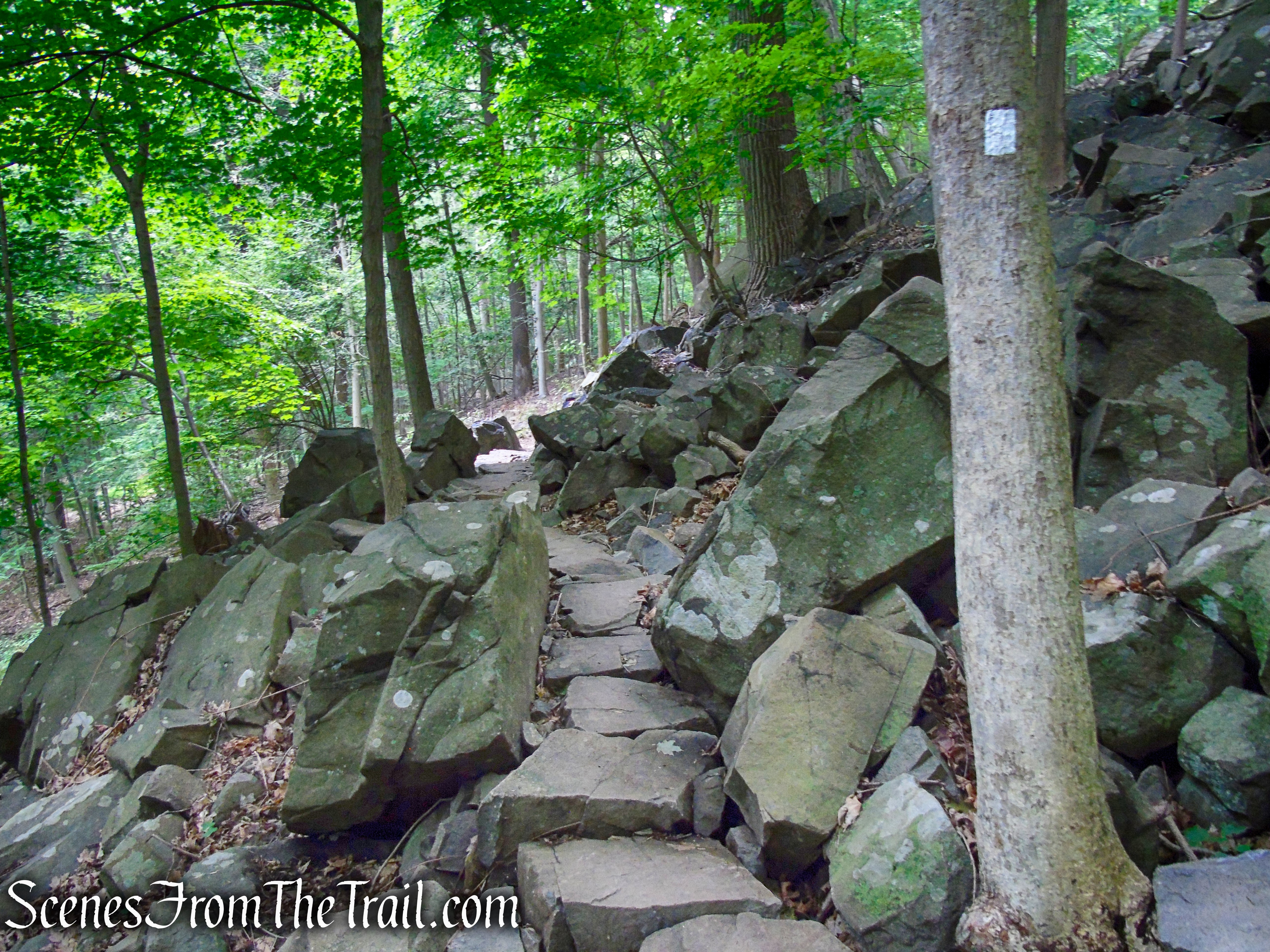 Upper Nyack Trail - Nyack Beach State Park