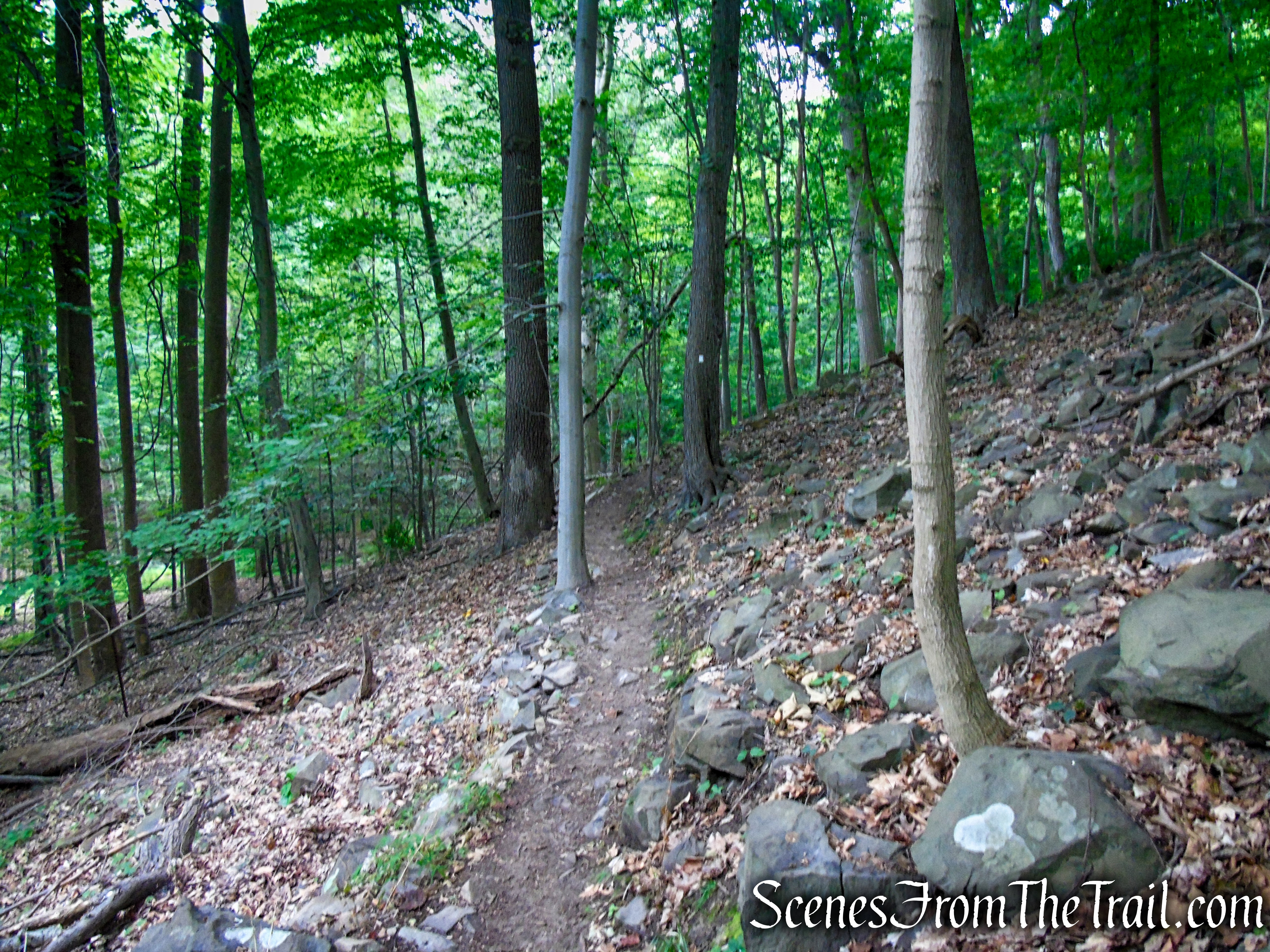 Upper Nyack Trail - Nyack Beach State Park