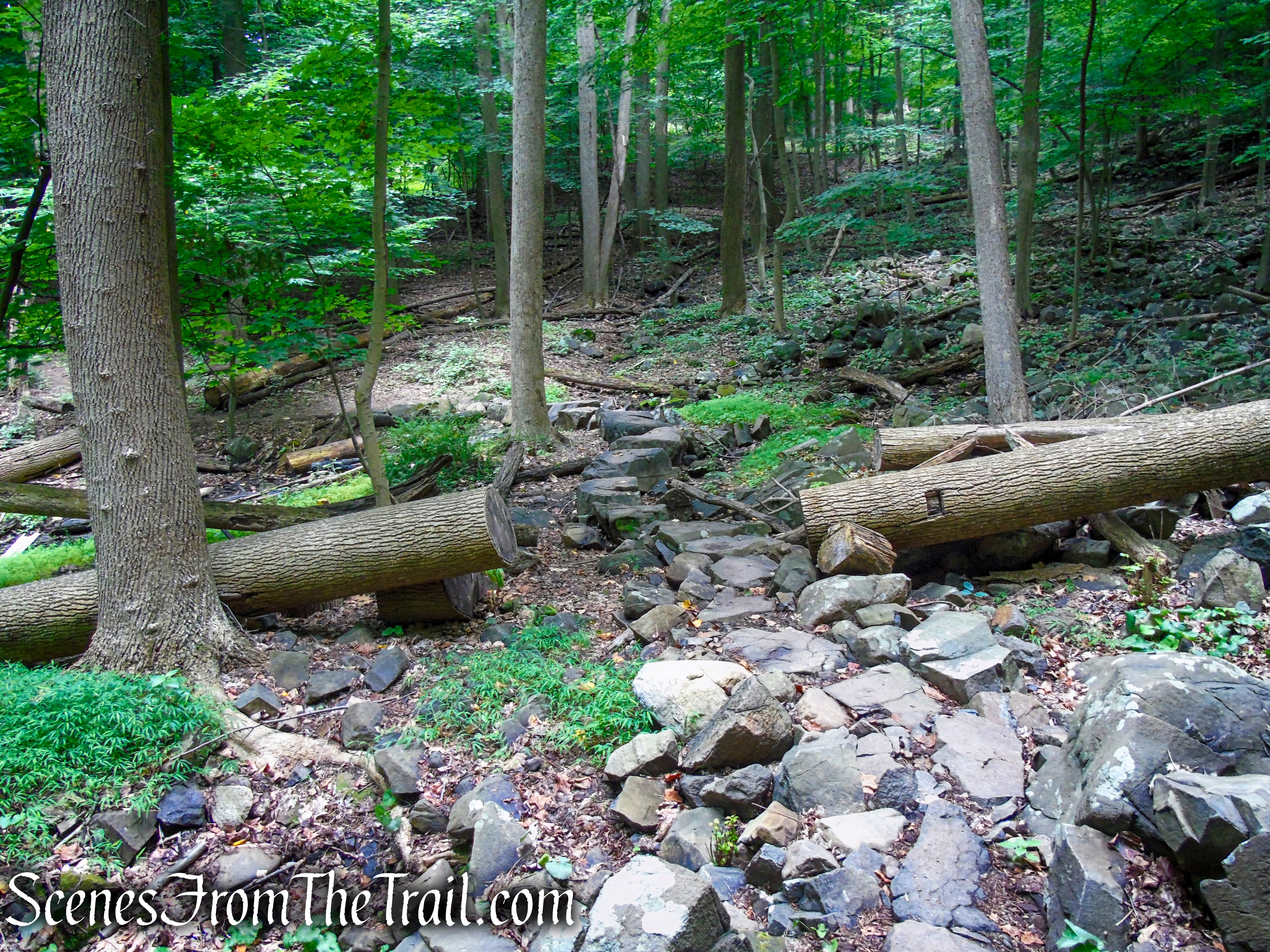Upper Nyack Trail - Nyack Beach State Park