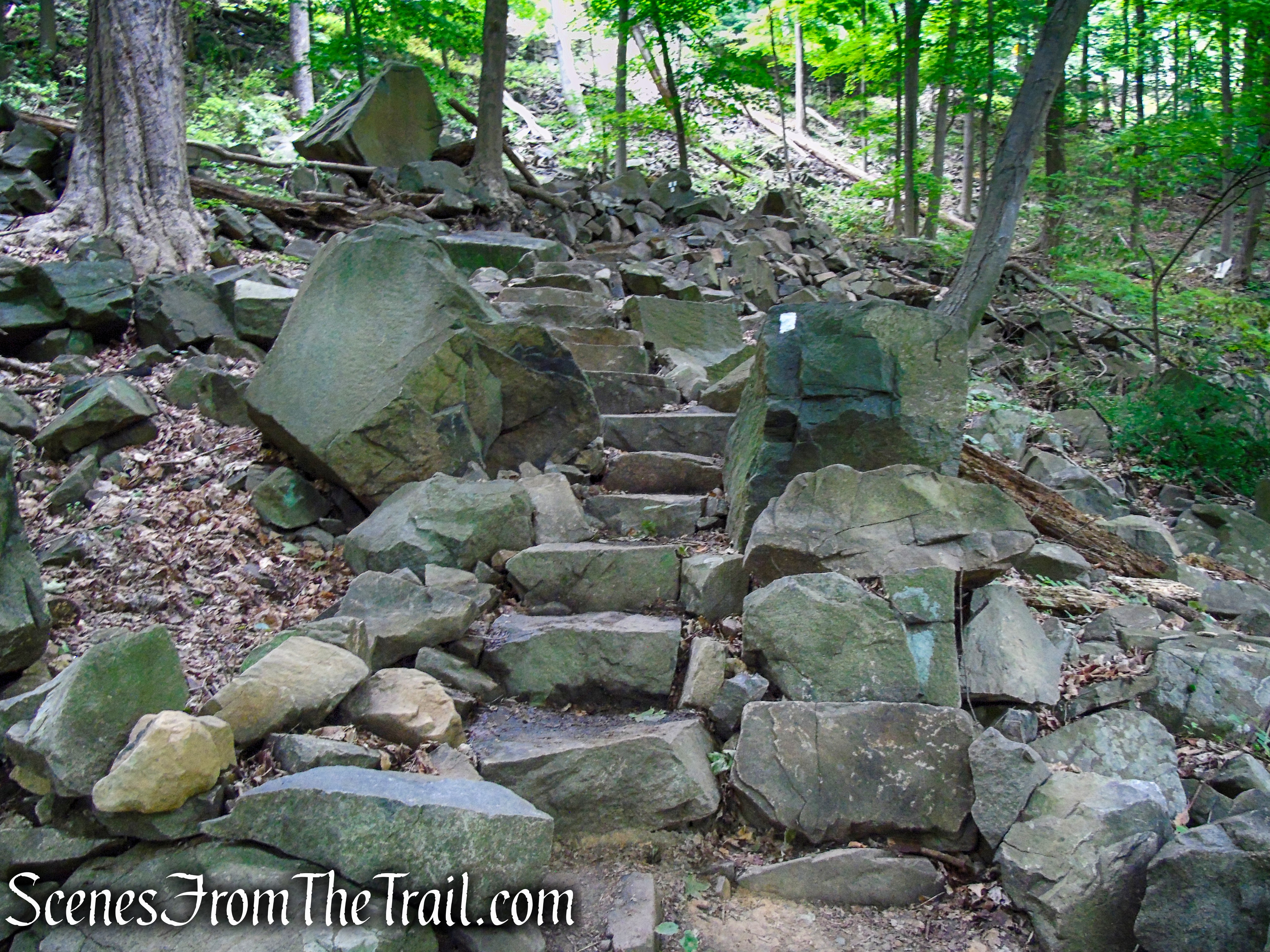Upper Nyack Trail - Nyack Beach State Park