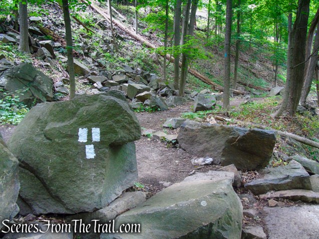 terminus of Upper Nyack Trail