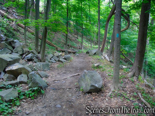 turn right on the Long Path