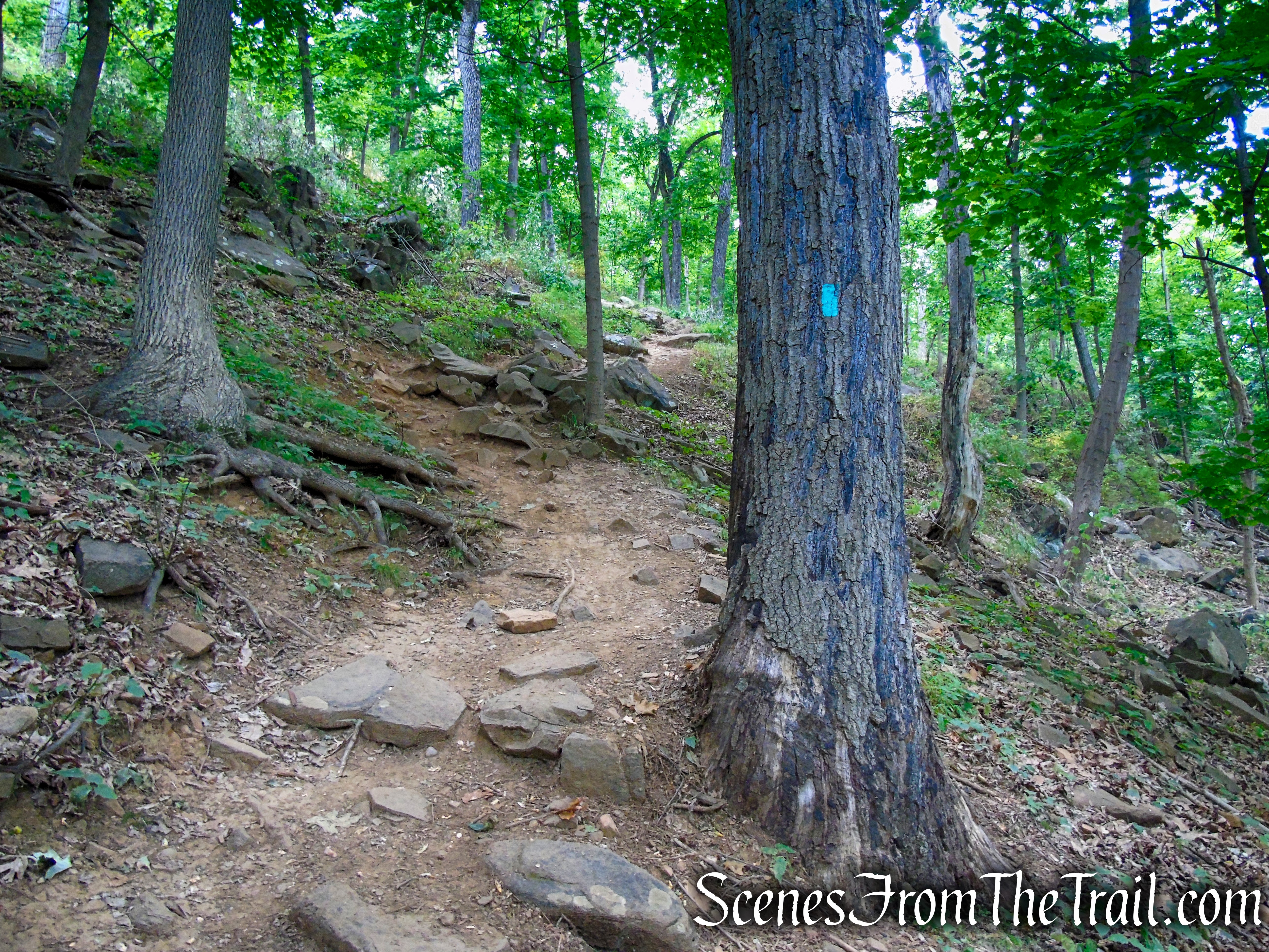 Long Path - Nyack Beach State Park