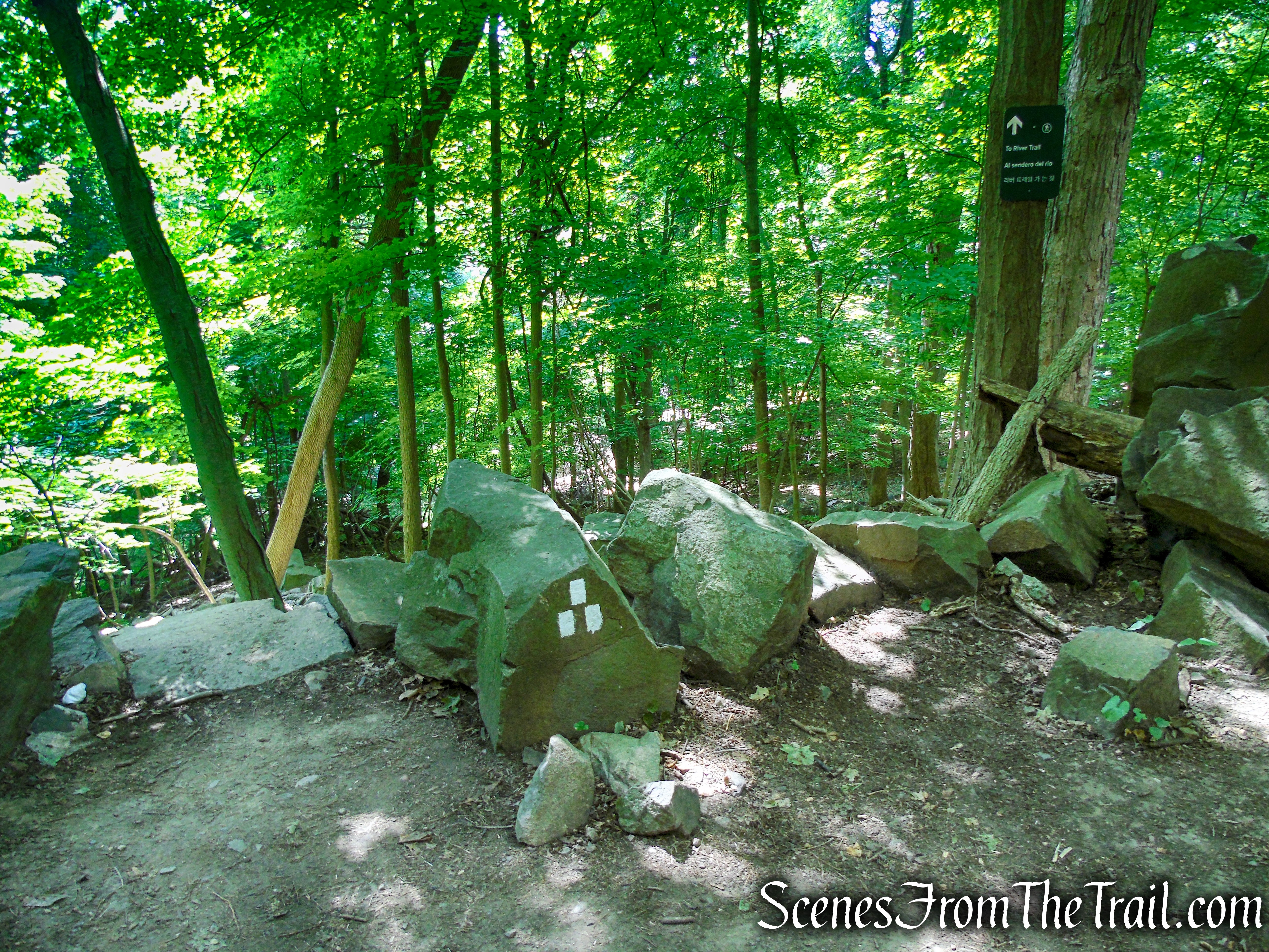 turn left on Upper Nyack Trail
