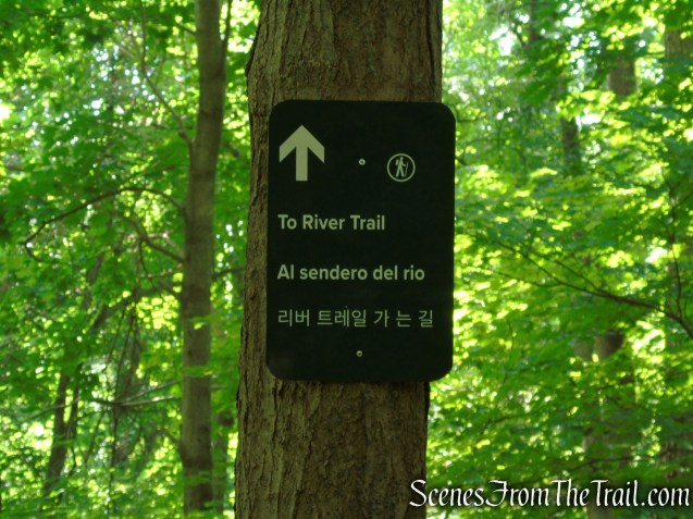 turn left on Upper Nyack Trail