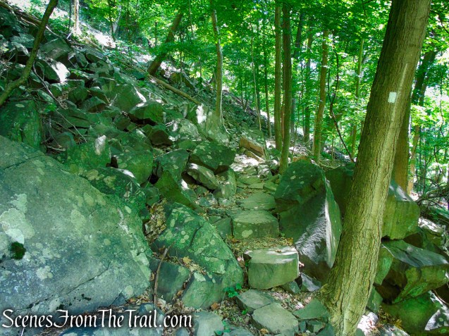 Upper Nyack Trail - Nyack Beach State Park