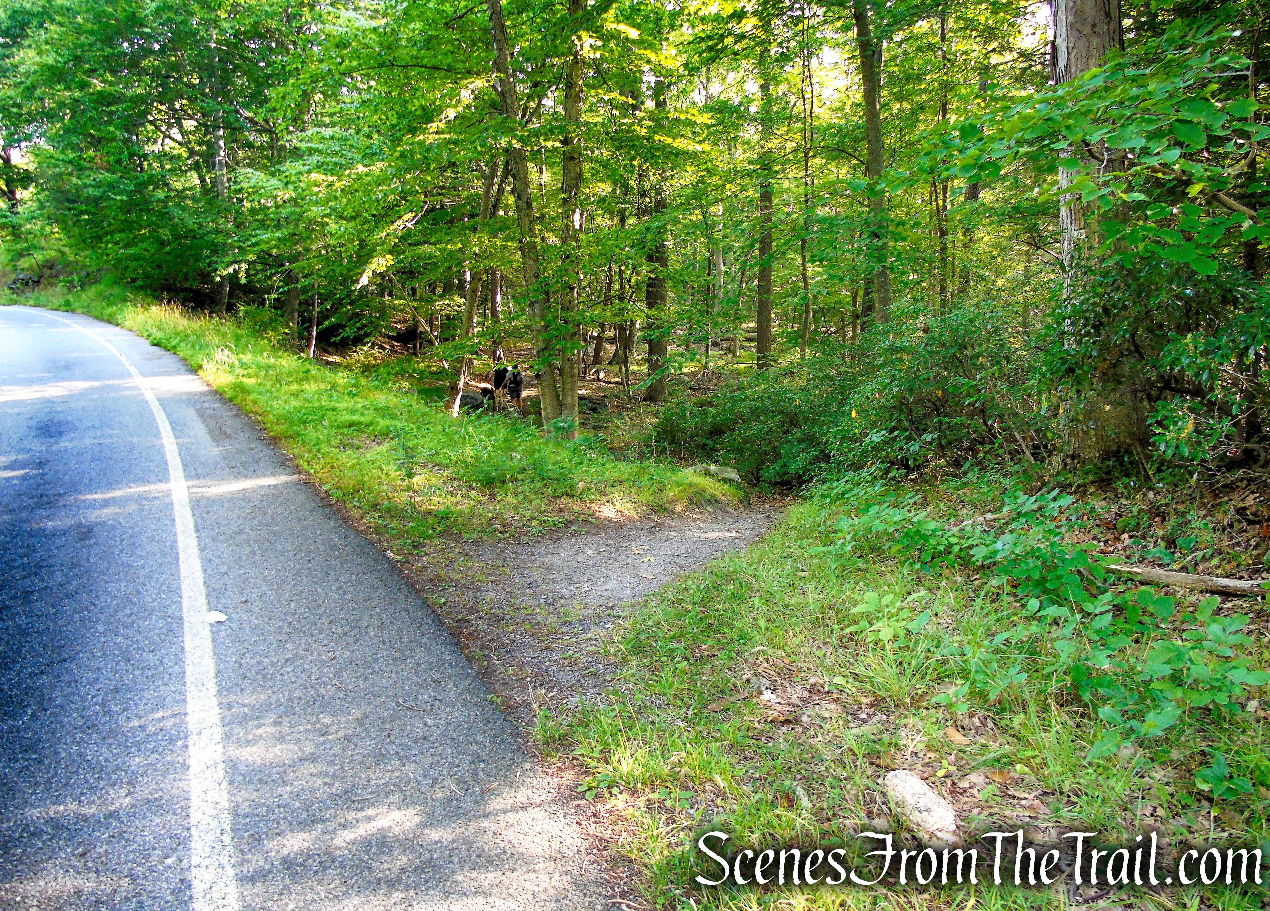 White Bar Trail - Harriman State Park