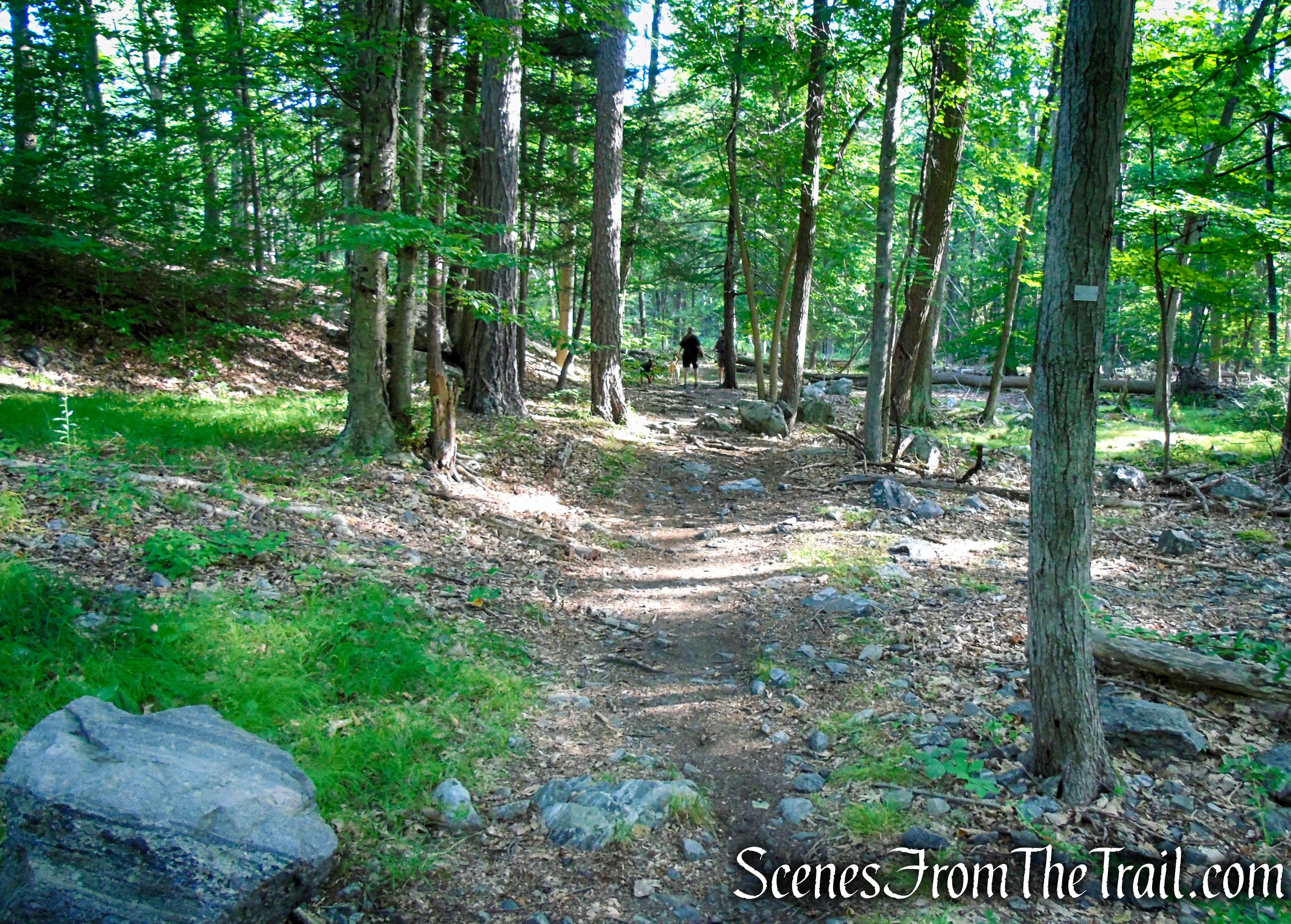 White Bar Trail - Harriman State Park
