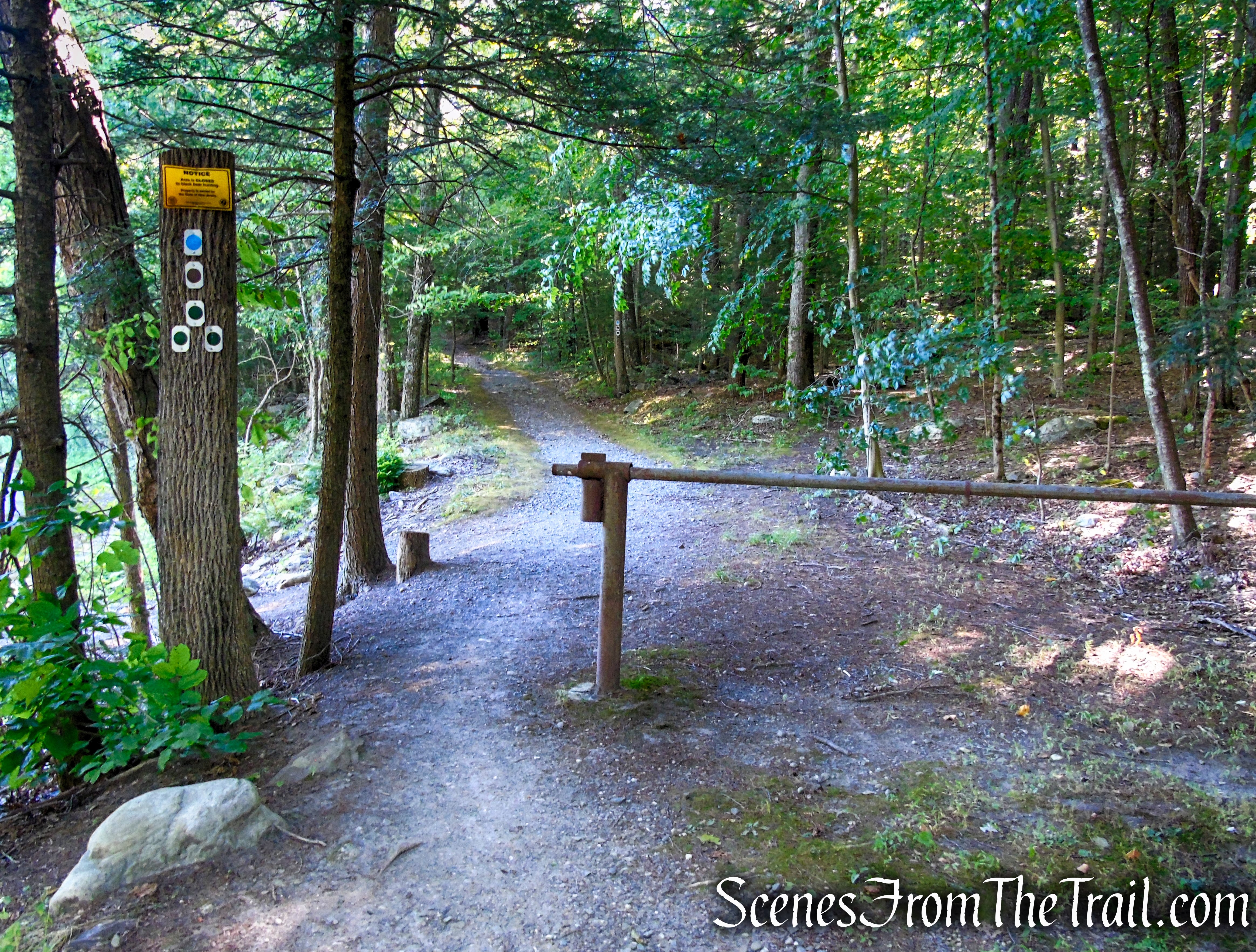 Stony Brook Trail - Stokes State Forest