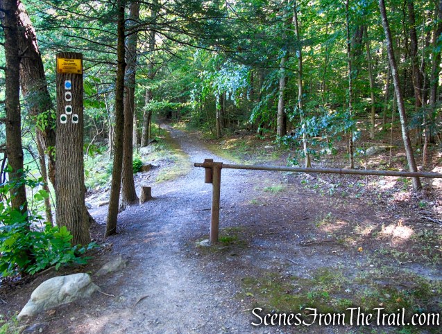 Stony Brook Trail - Stokes State Forest