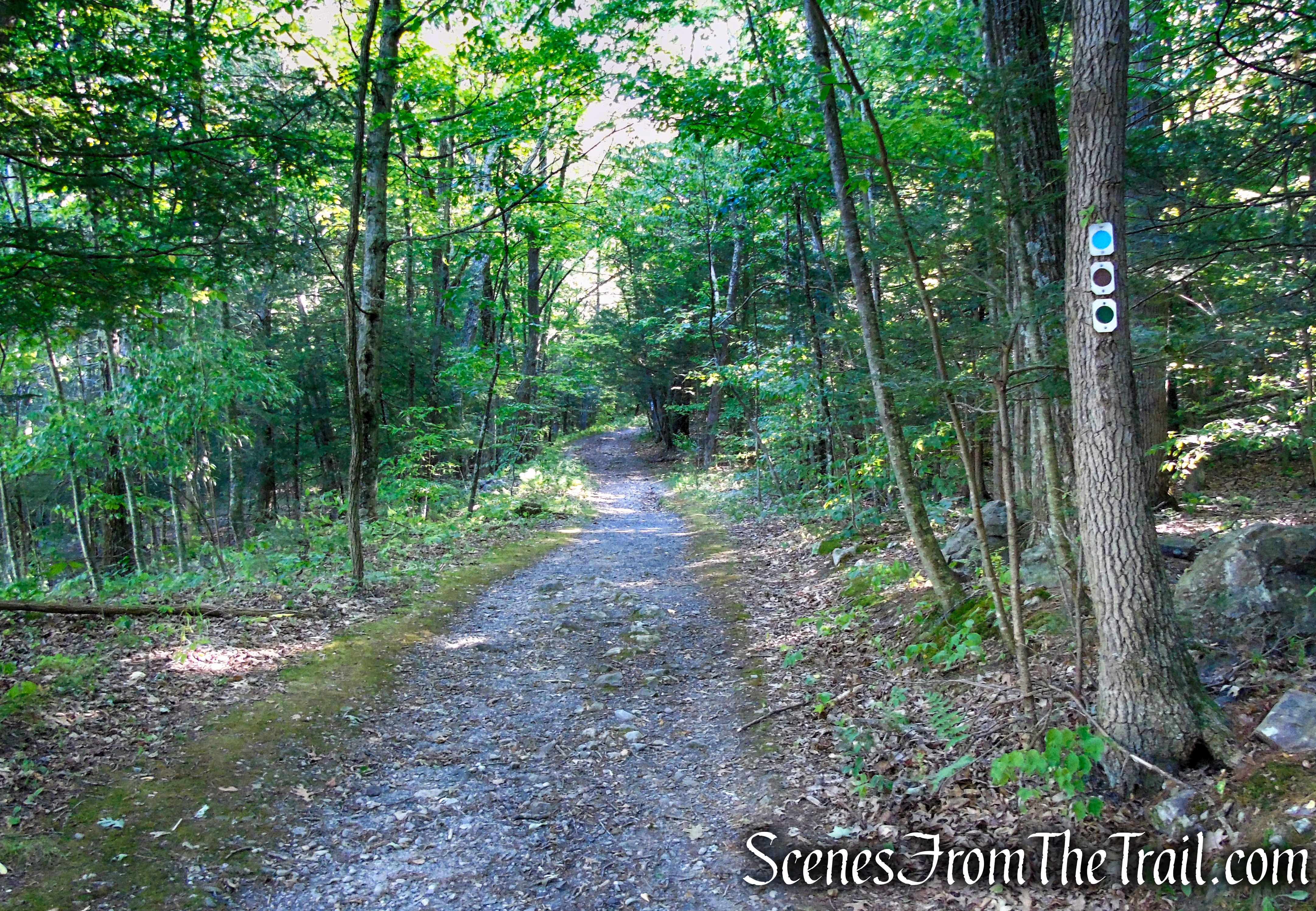 Stony Brook Trail - Stokes State Forest