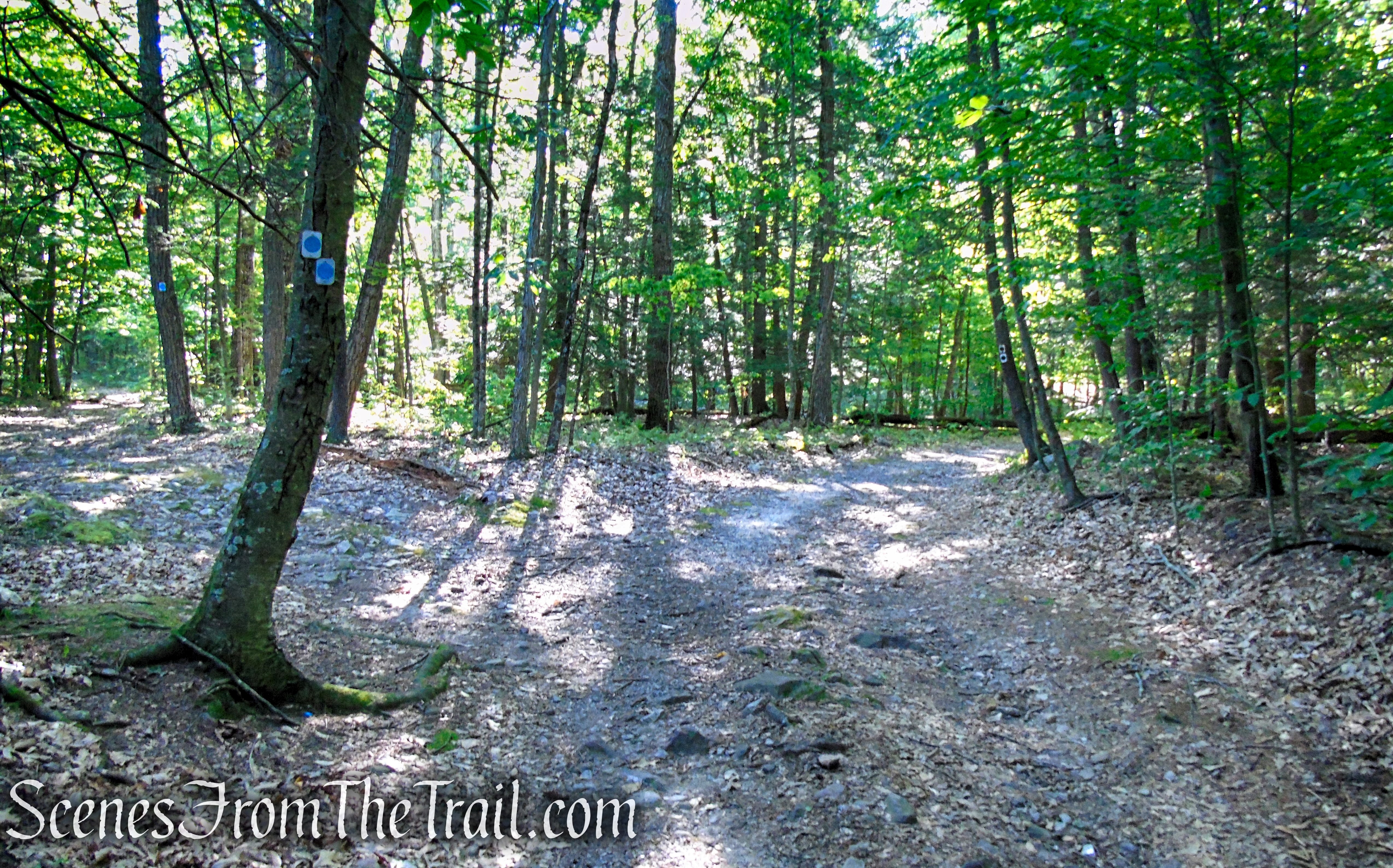 Stony Brook Trail - Stokes State Forest