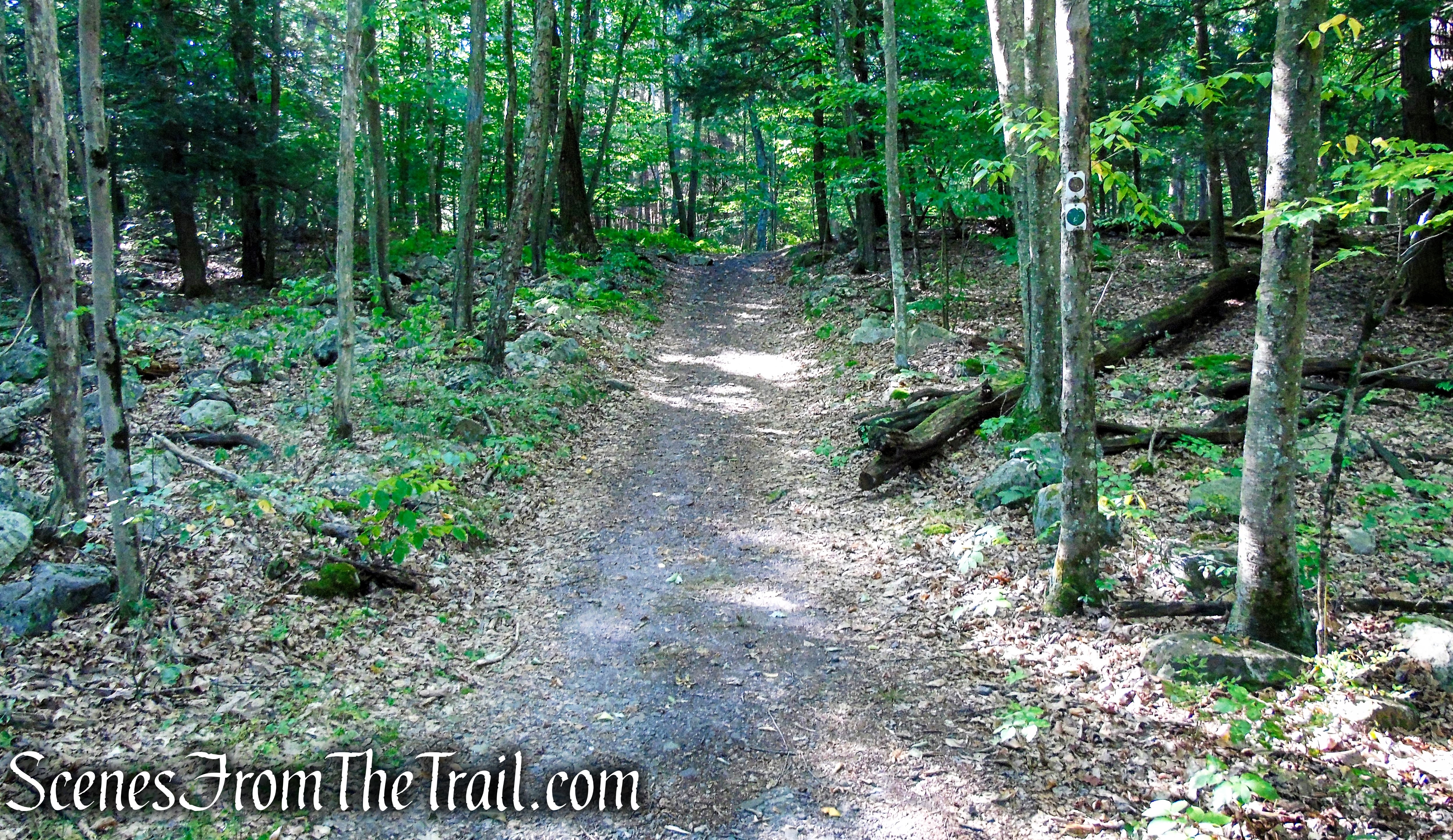 Stony Brook Trail - Stokes State Forest