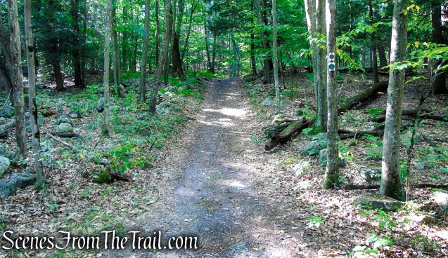 Stony Brook Trail - Stokes State Forest