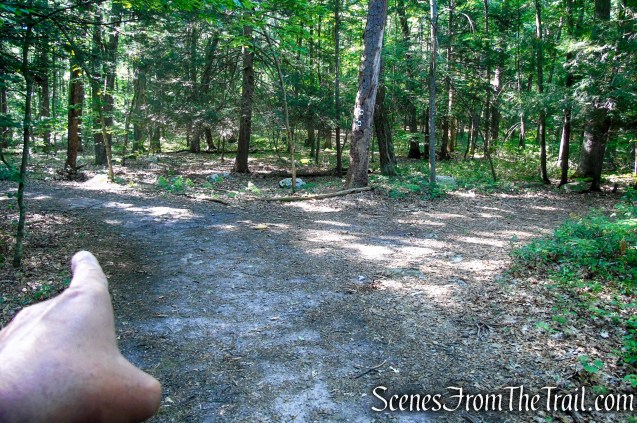 Stony Brook Trail - Stokes State Forest