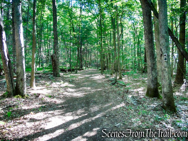 Stony Brook Trail - Stokes State Forest