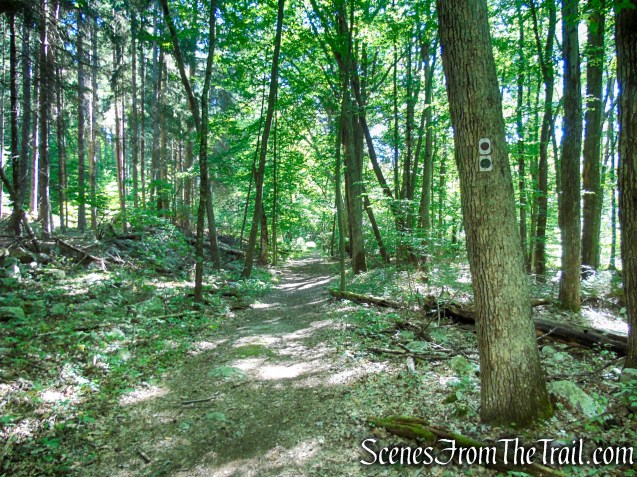 Stony Brook Trail - Stokes State Forest