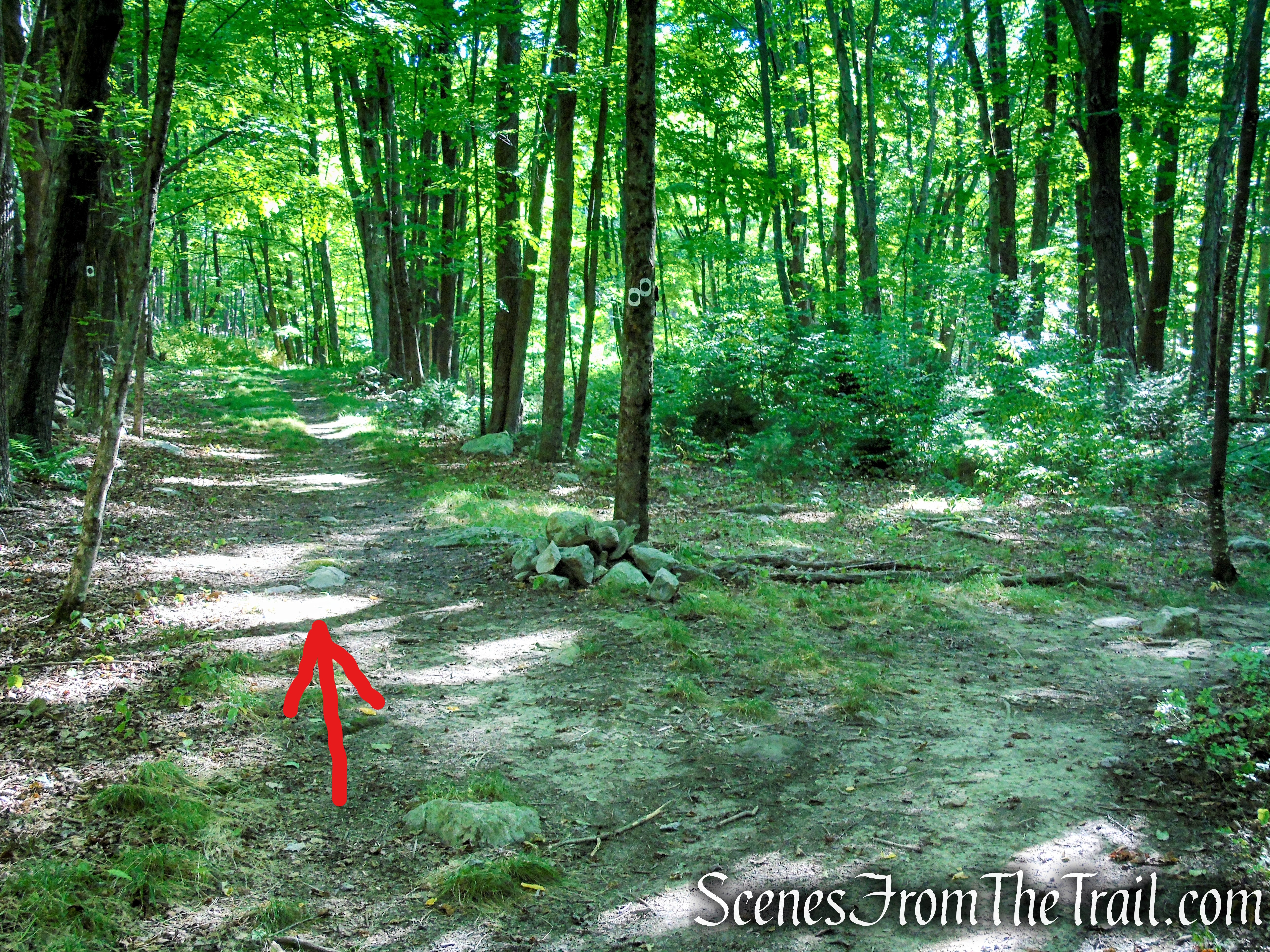 Stony Brook Trail - Stokes State Forest