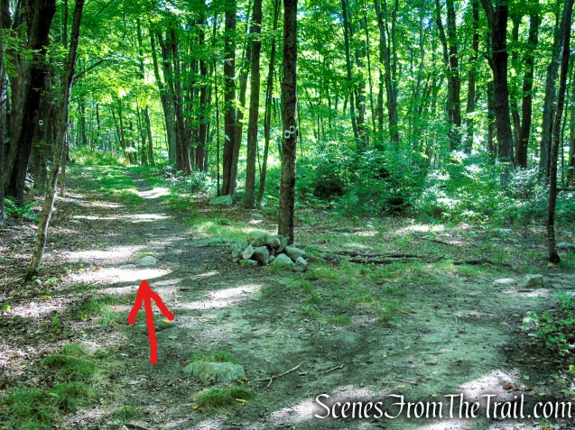 Stony Brook Trail - Stokes State Forest