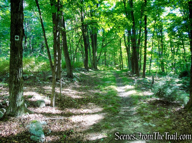 Stony Brook Trail - Stokes State Forest