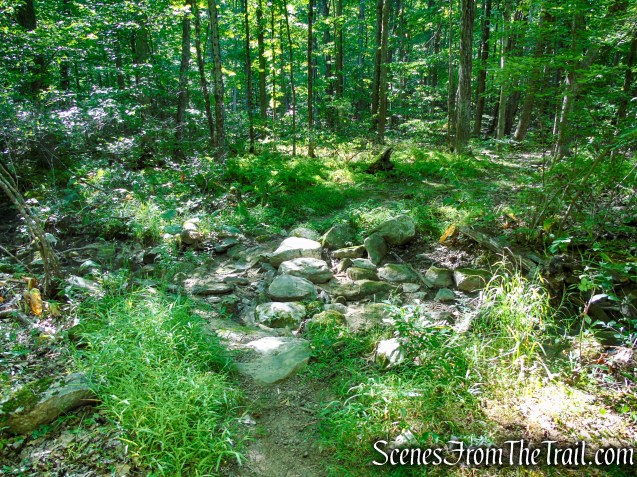 Stony Brook Trail - Stokes State Forest