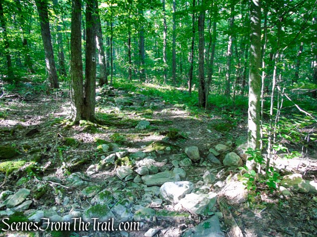 Stony Brook Trail - Stokes State Forest