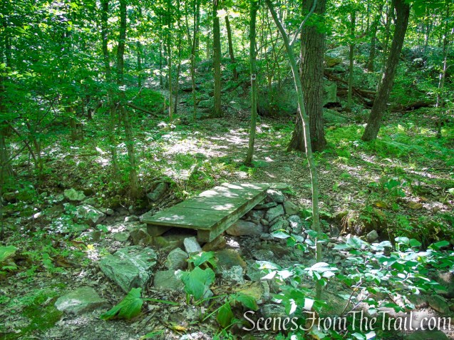 Stony Brook Trail - Stokes State Forest